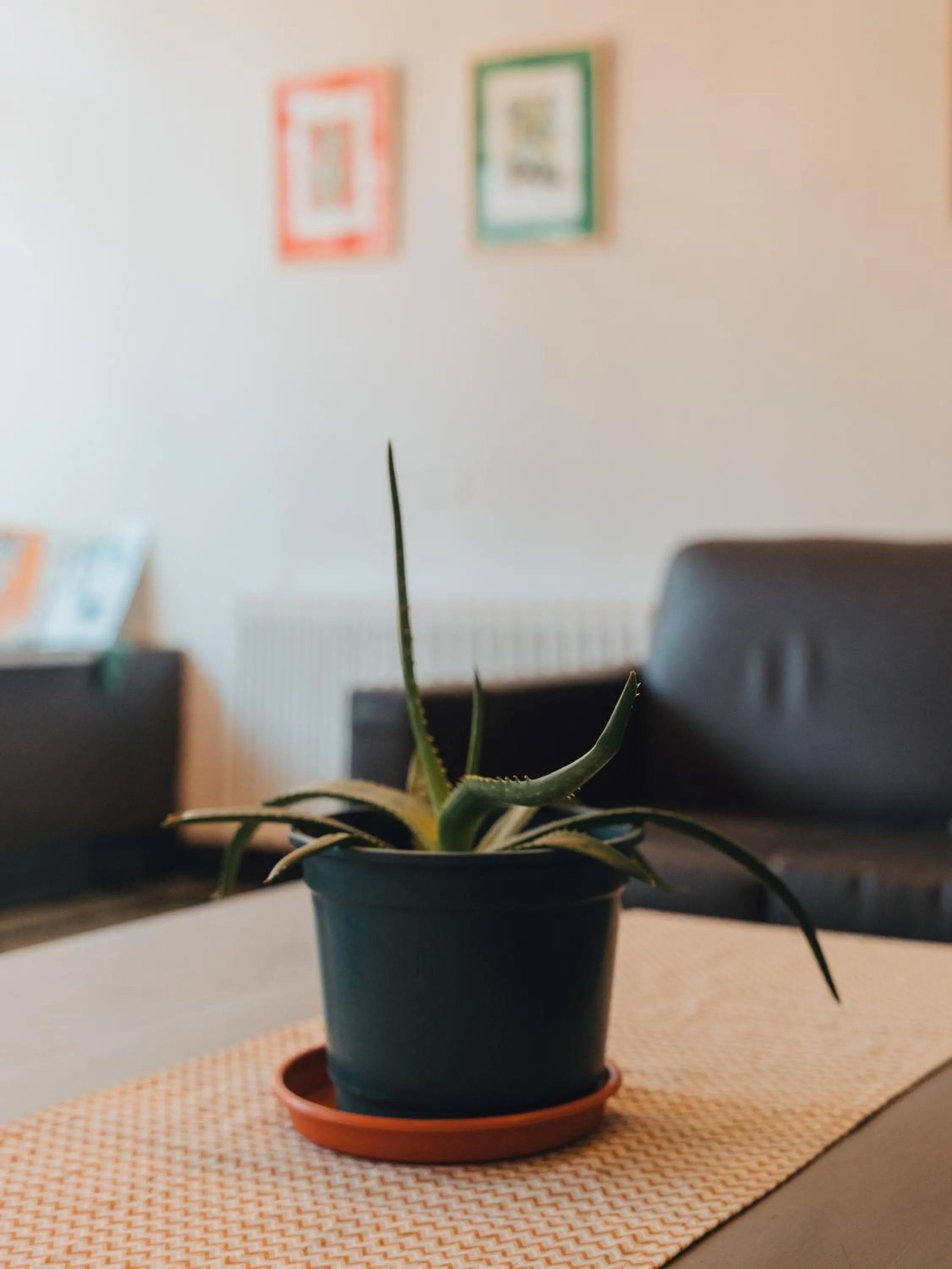 Area and facilities in NBH Premier Hotel