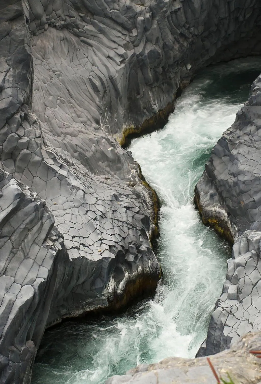 Bouganville Residence