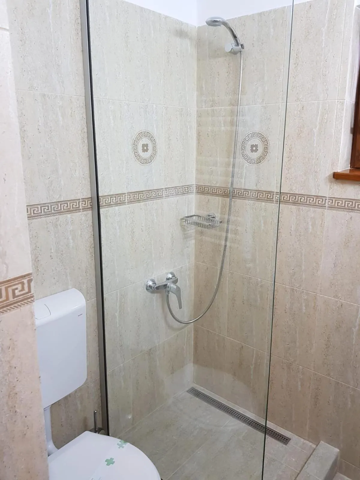 Shower in Pensiunea Geostar