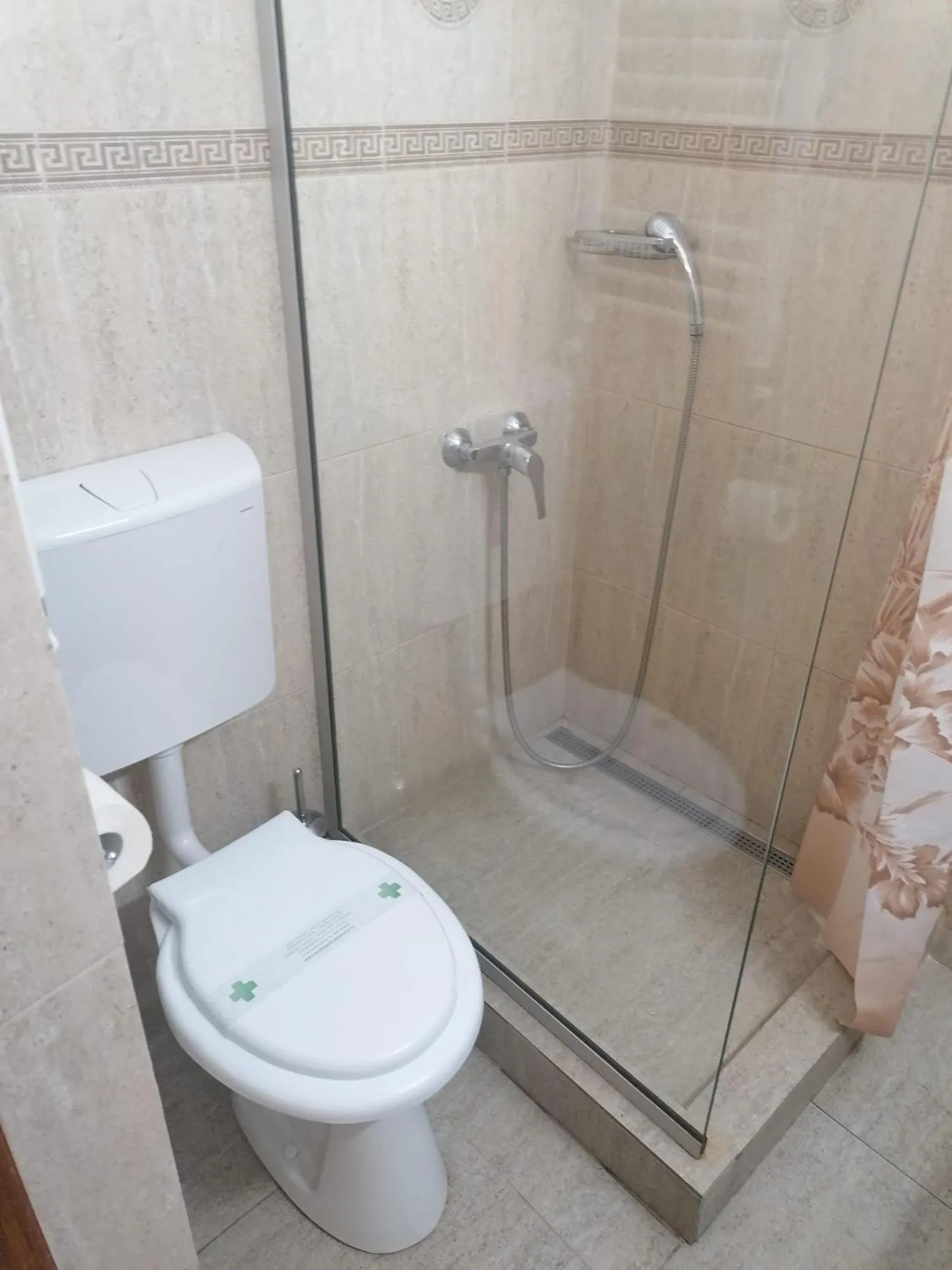 Shower in Pensiunea Geostar