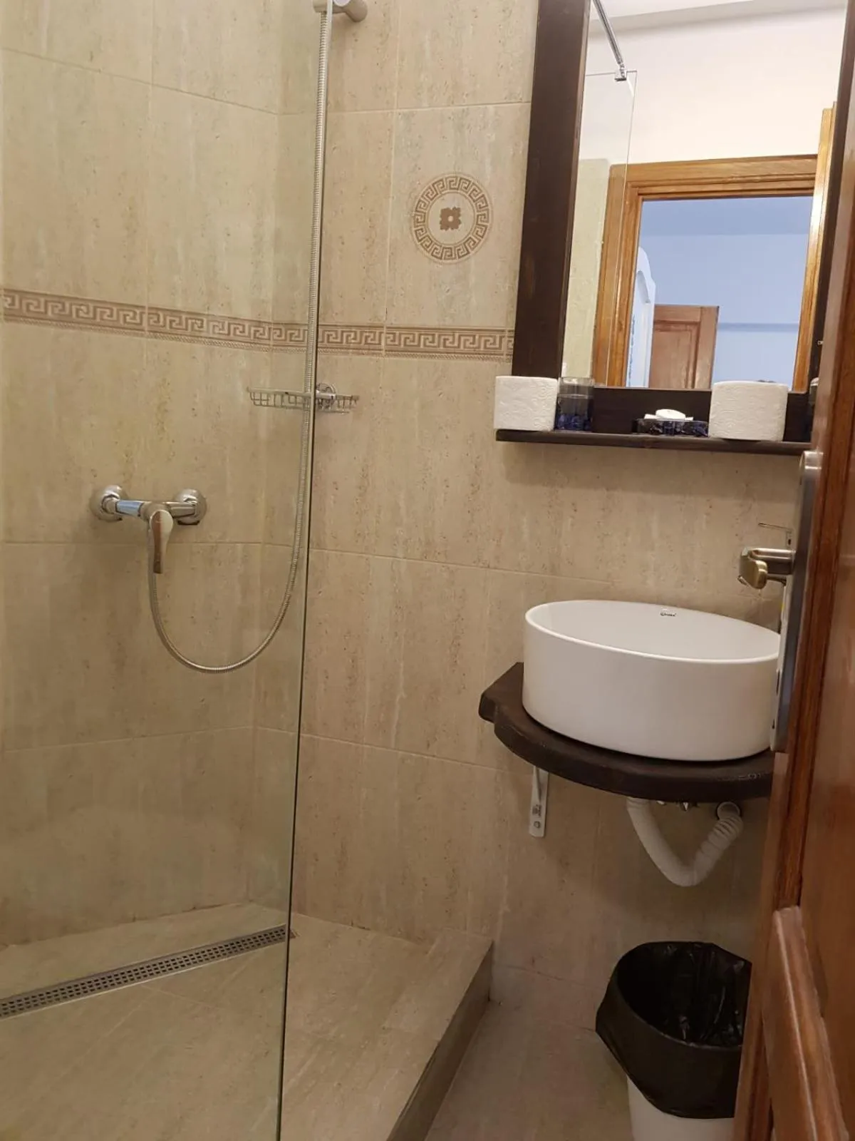 Shower in Pensiunea Geostar