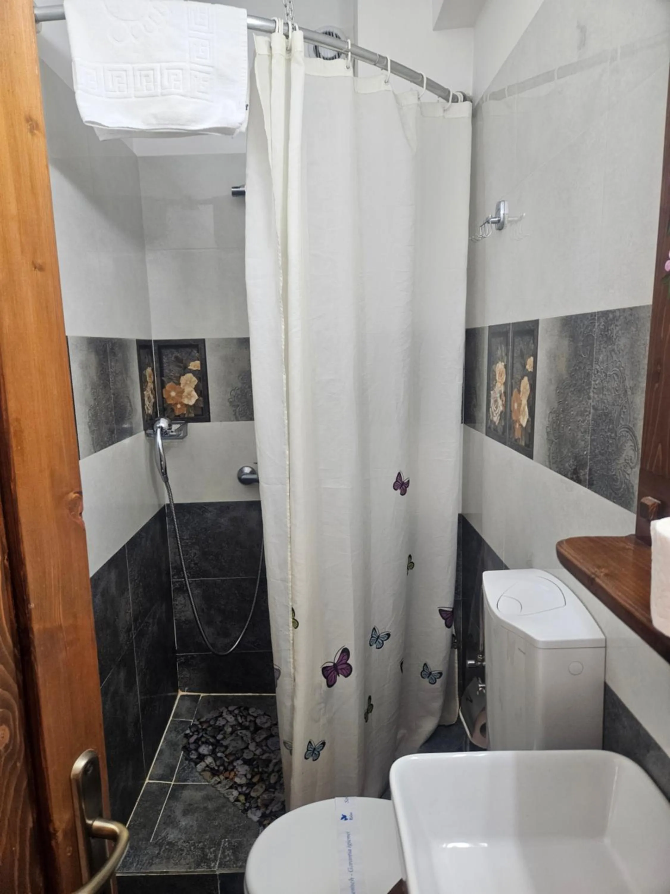 Shower in Pensiunea Geostar
