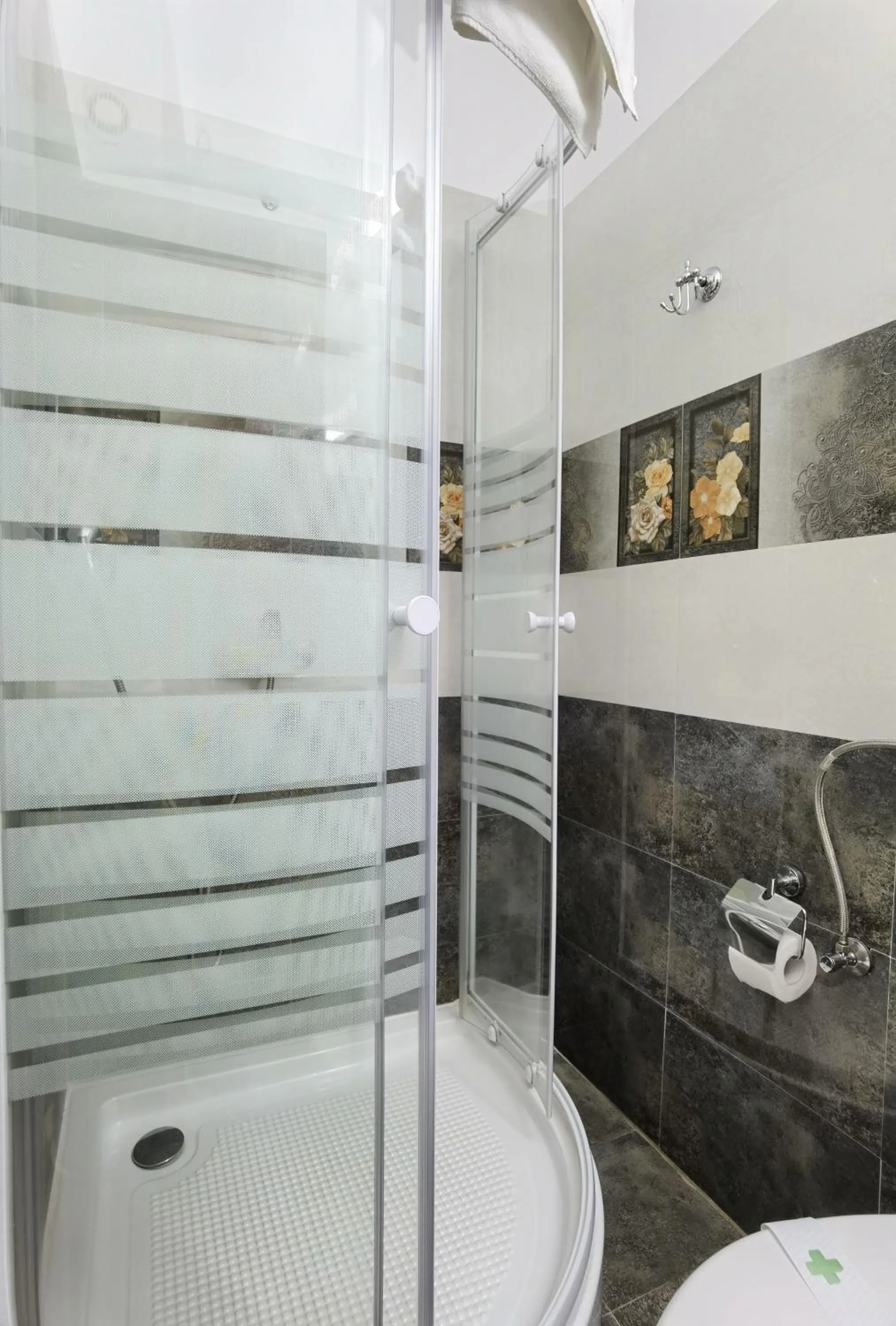 Shower in Pensiunea Geostar