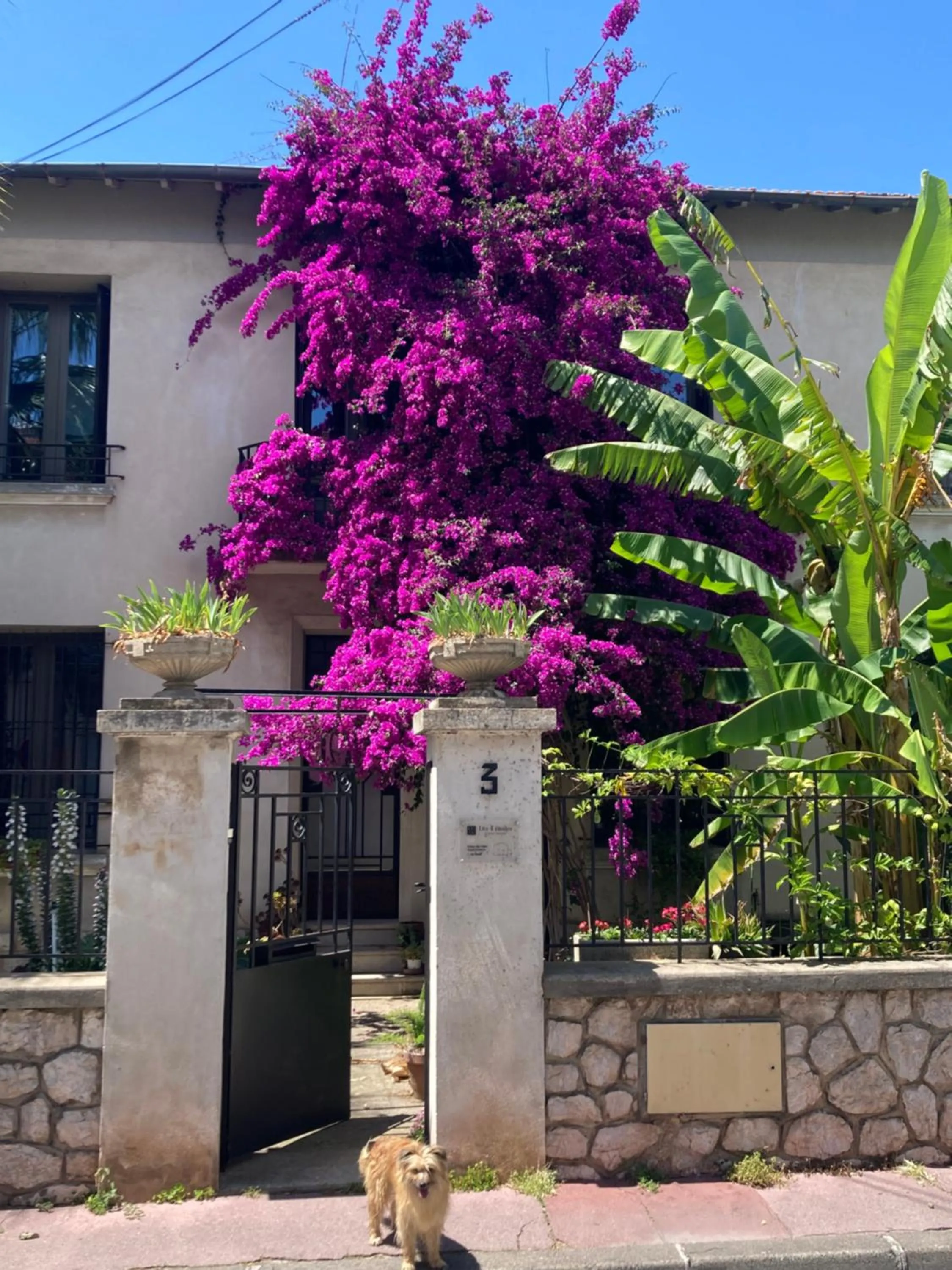 Property building in Les 4 étoiles