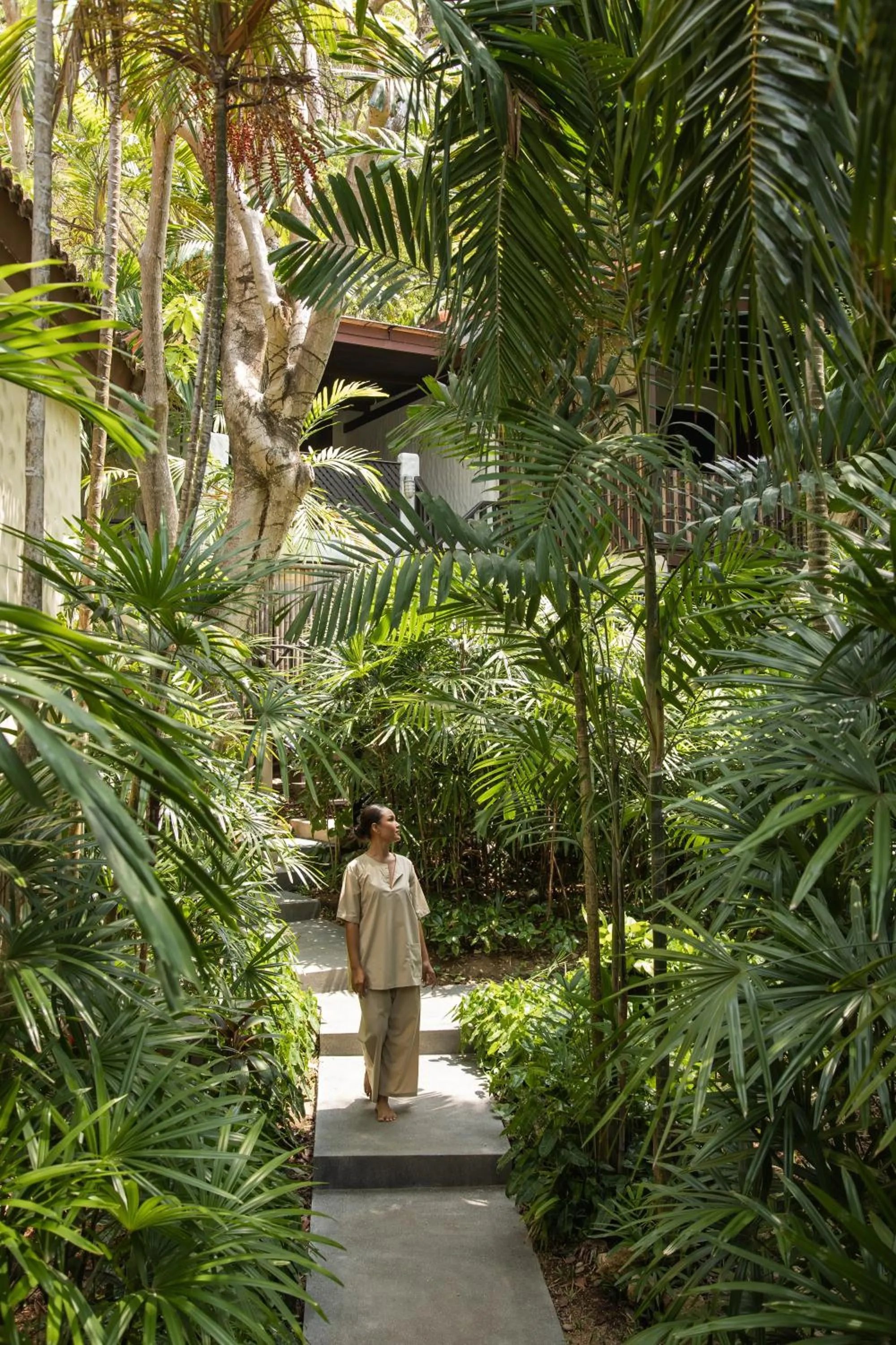 Natural landscape in Garrya Tongsai Bay Samui
