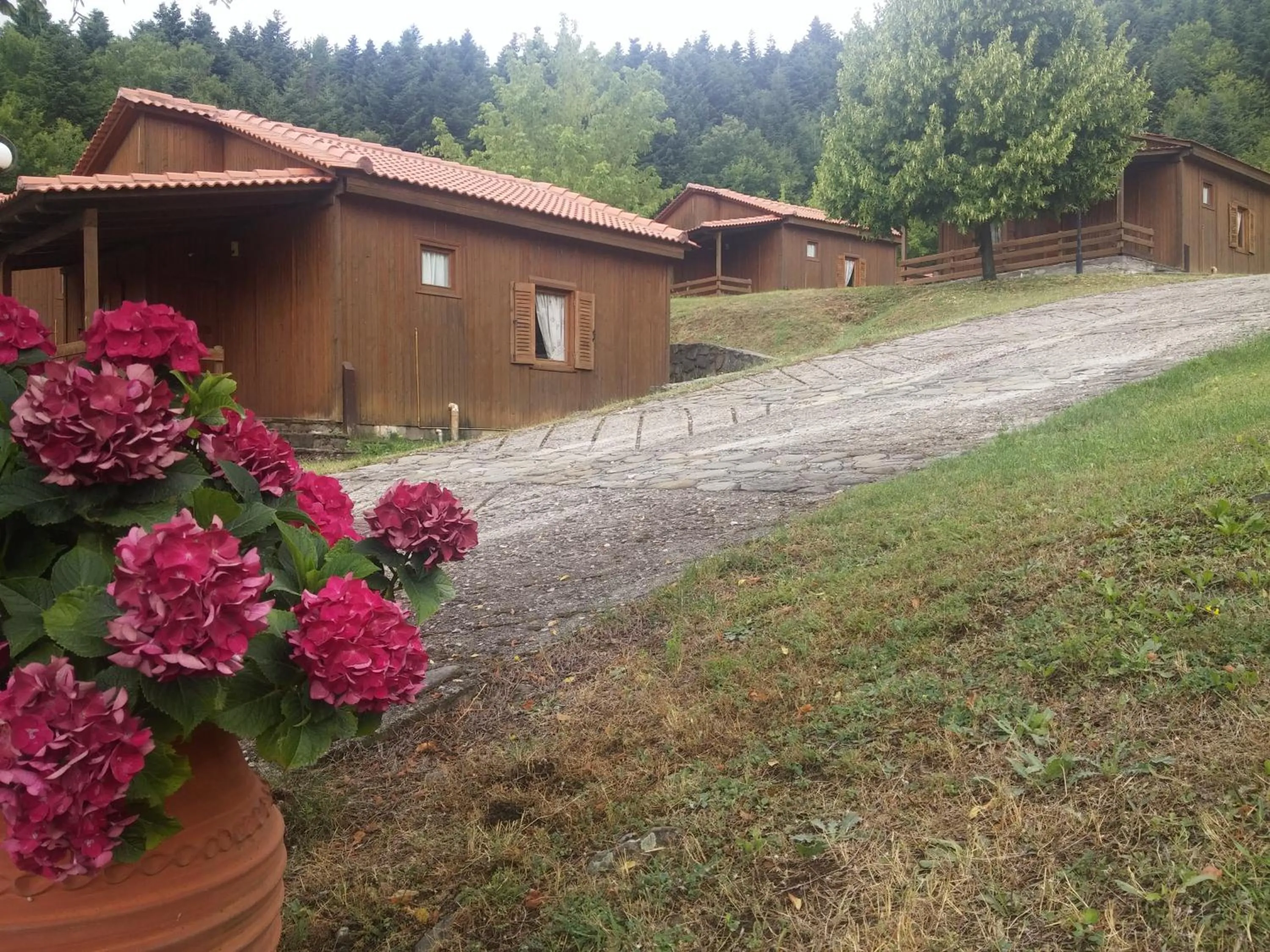 Garden in Livadaki Village
