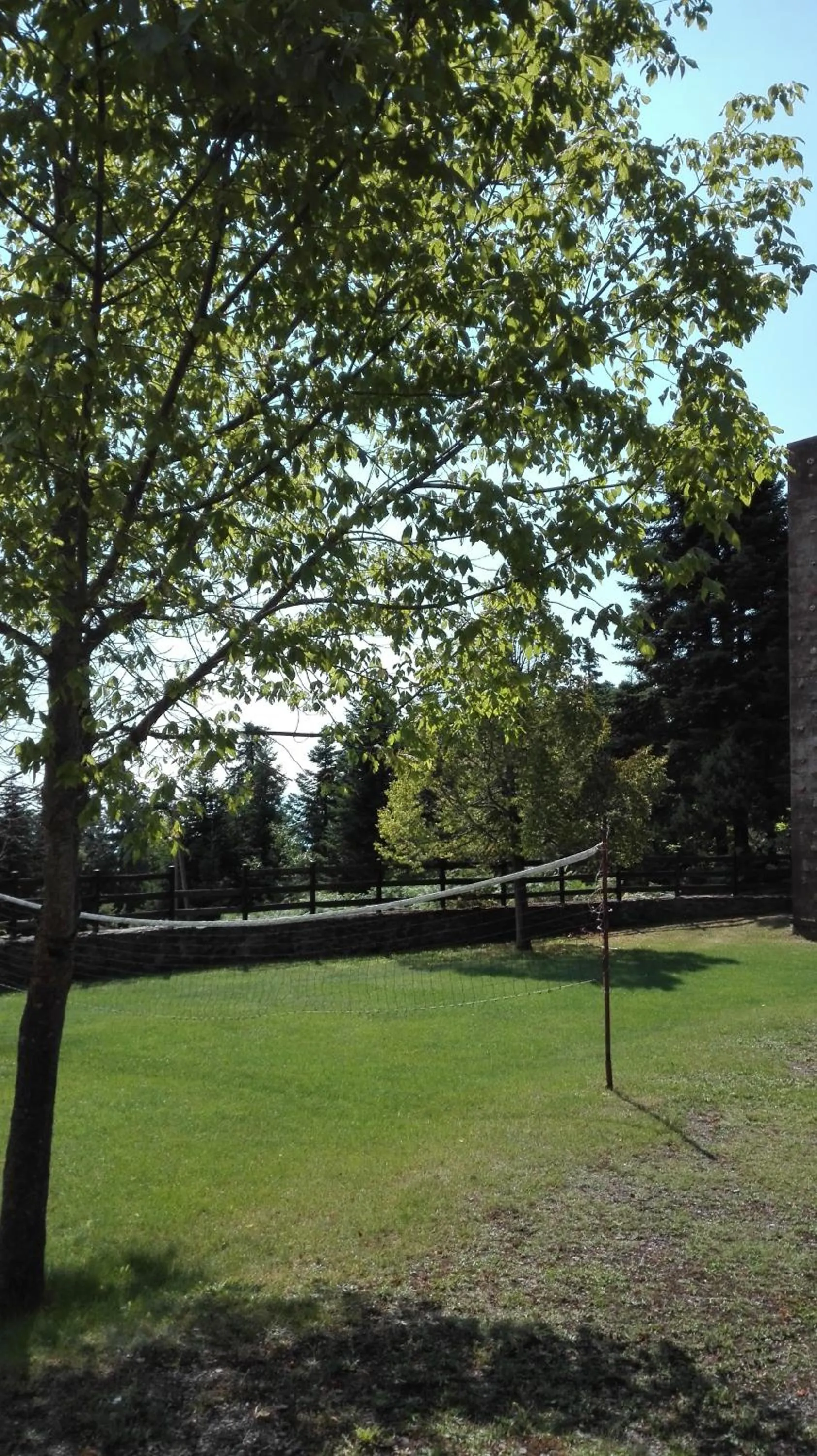 Natural landscape in Livadaki Village