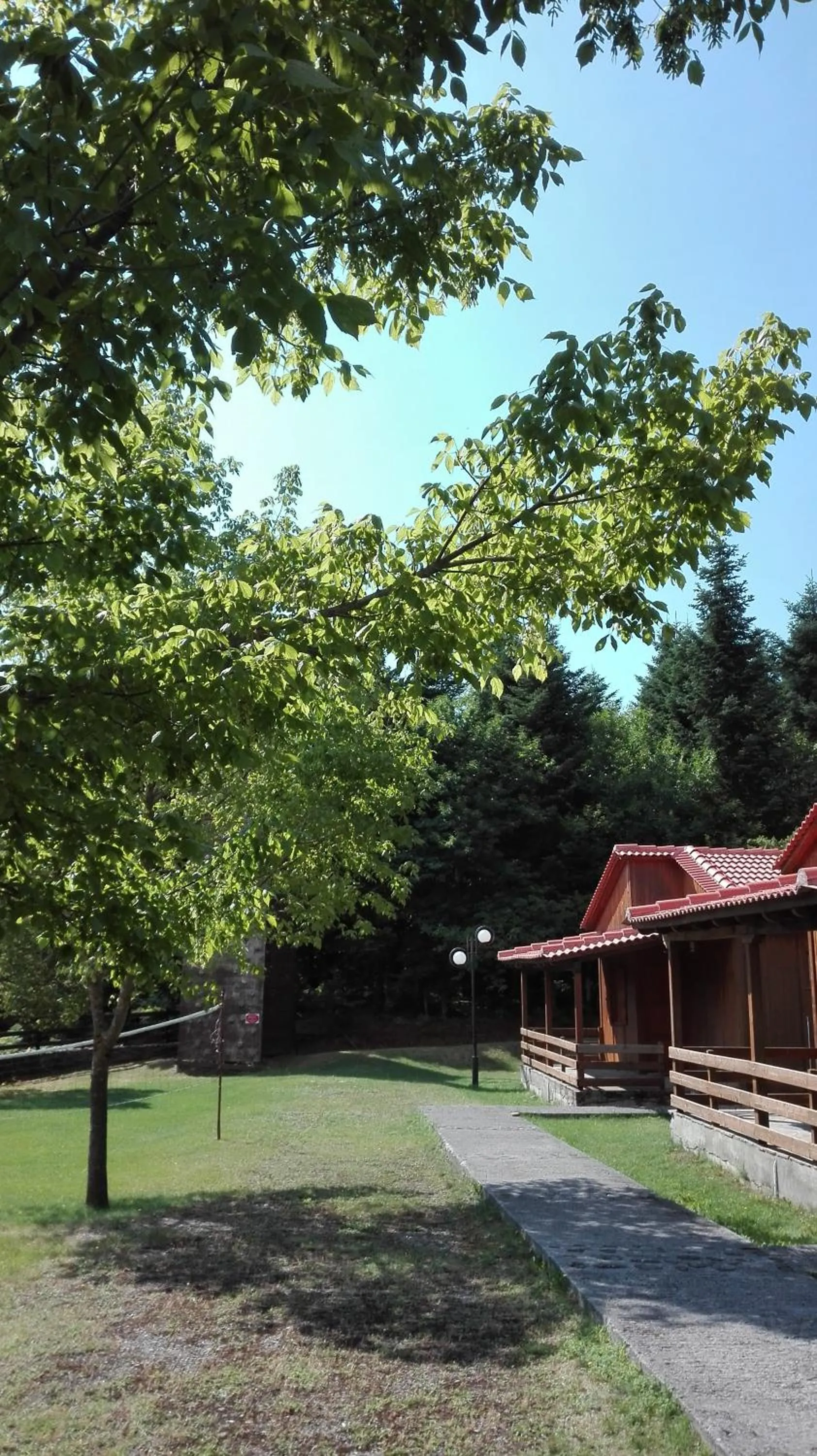 Garden in Livadaki Village