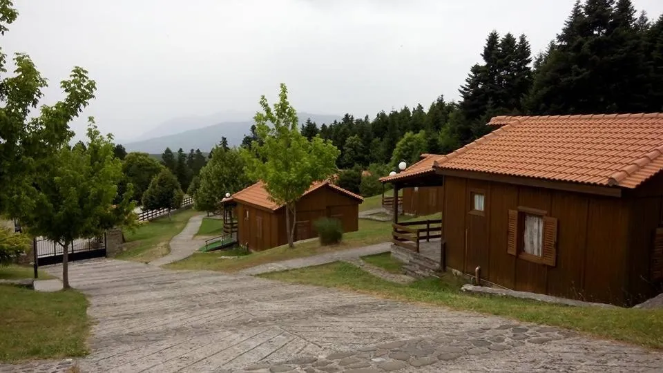 Bird's eye view in Livadaki Village