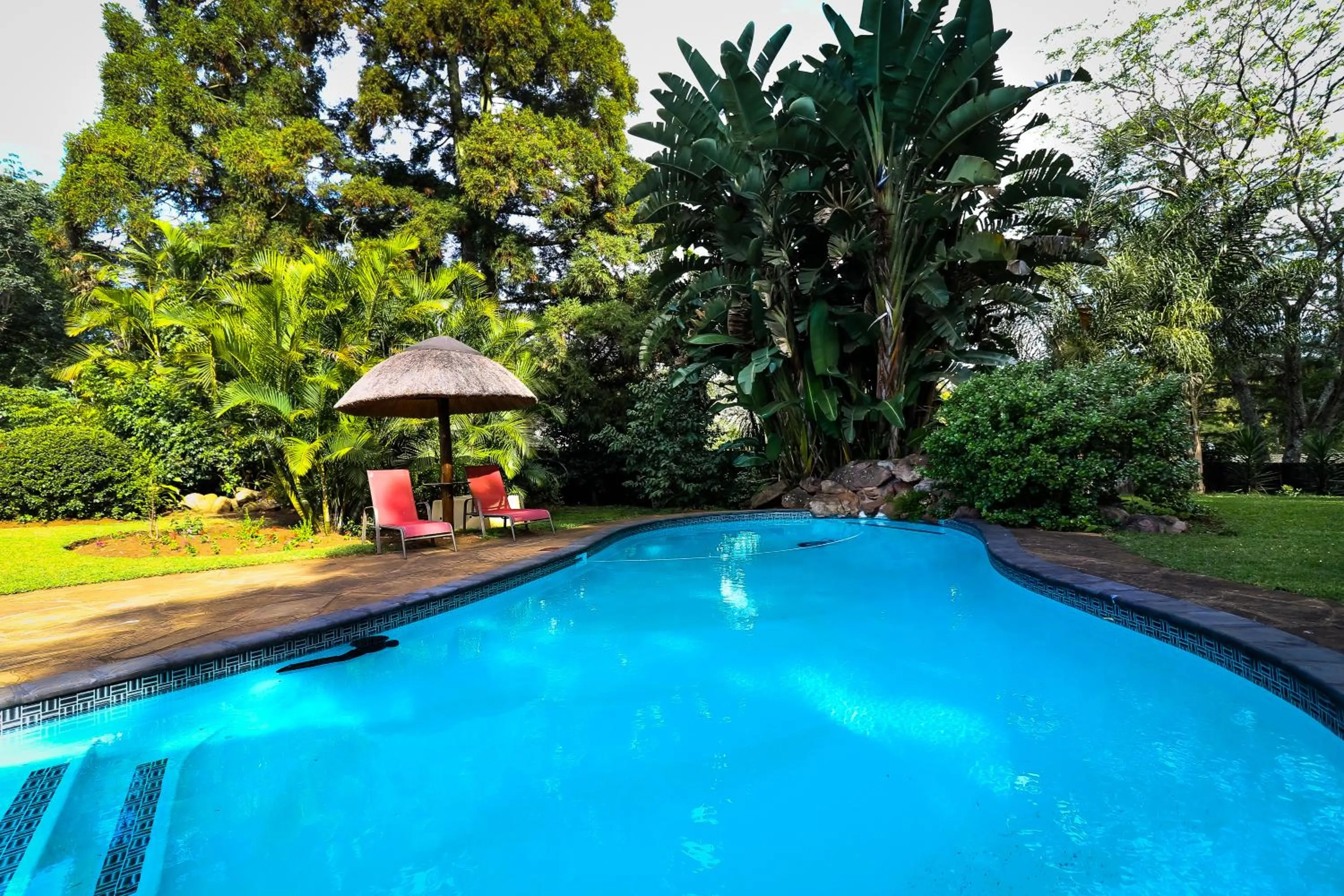 Swimming pool in Sibsons House