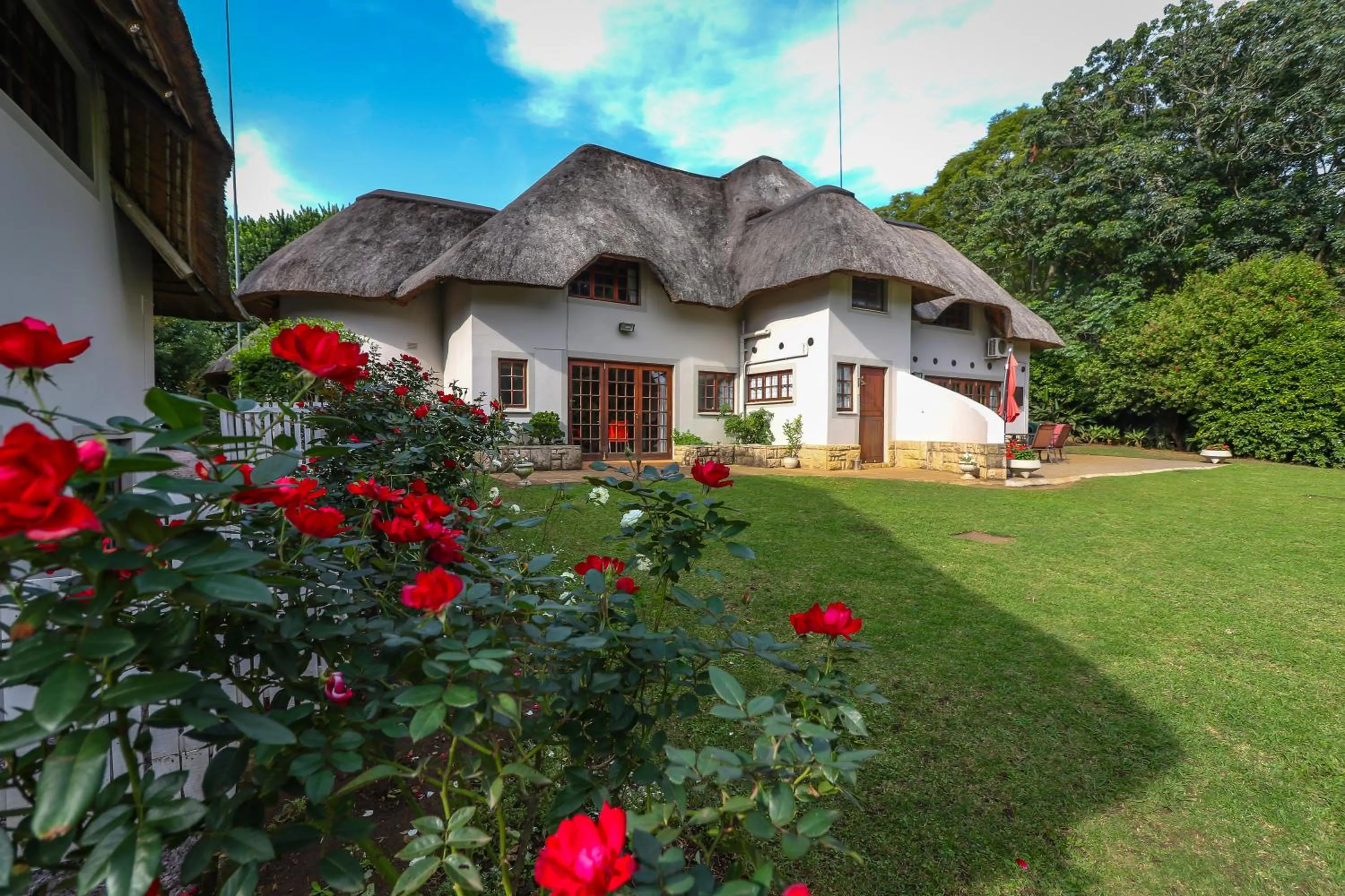 Garden view in Sibsons House