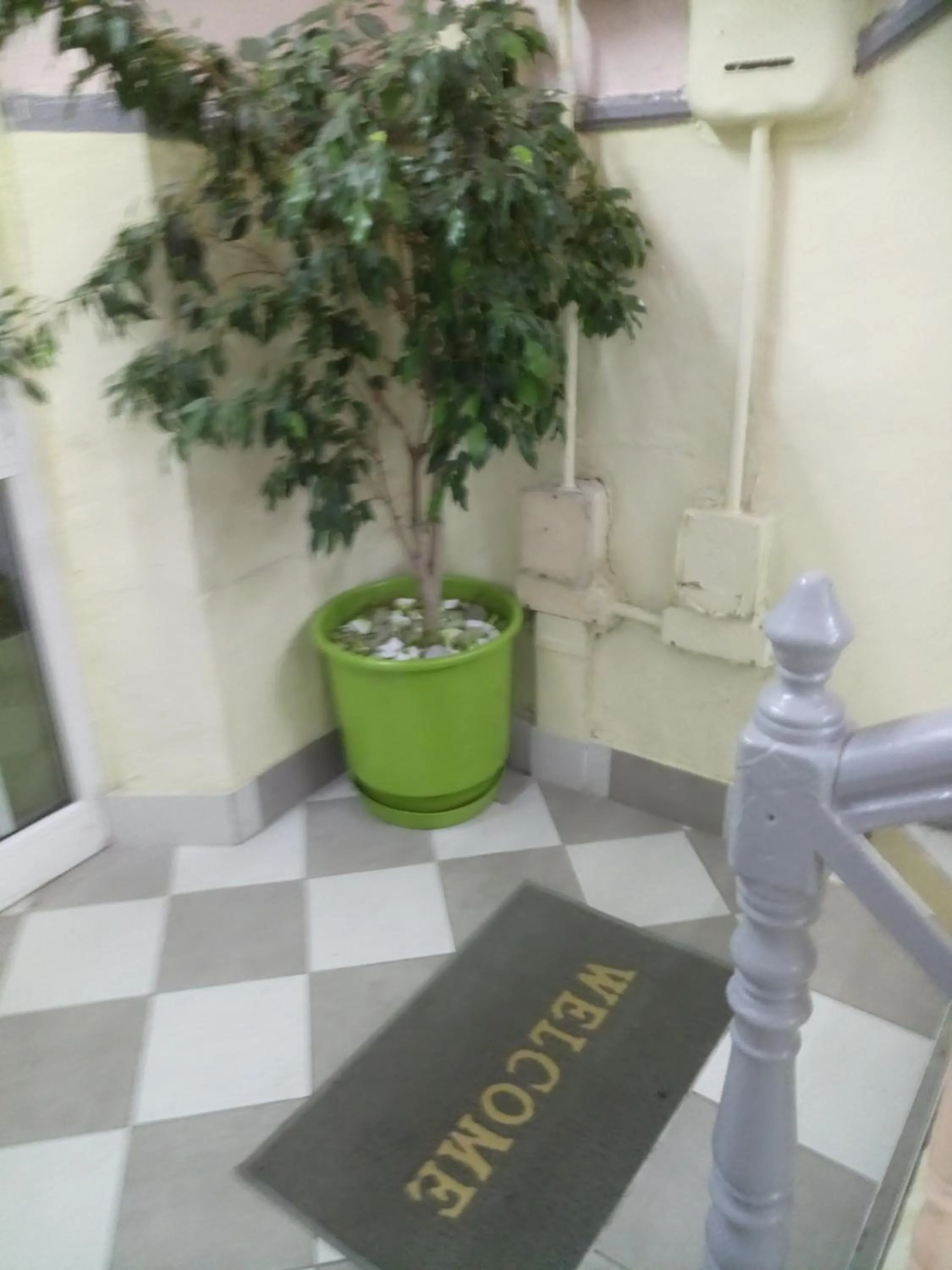 Decorative detail in Sparti