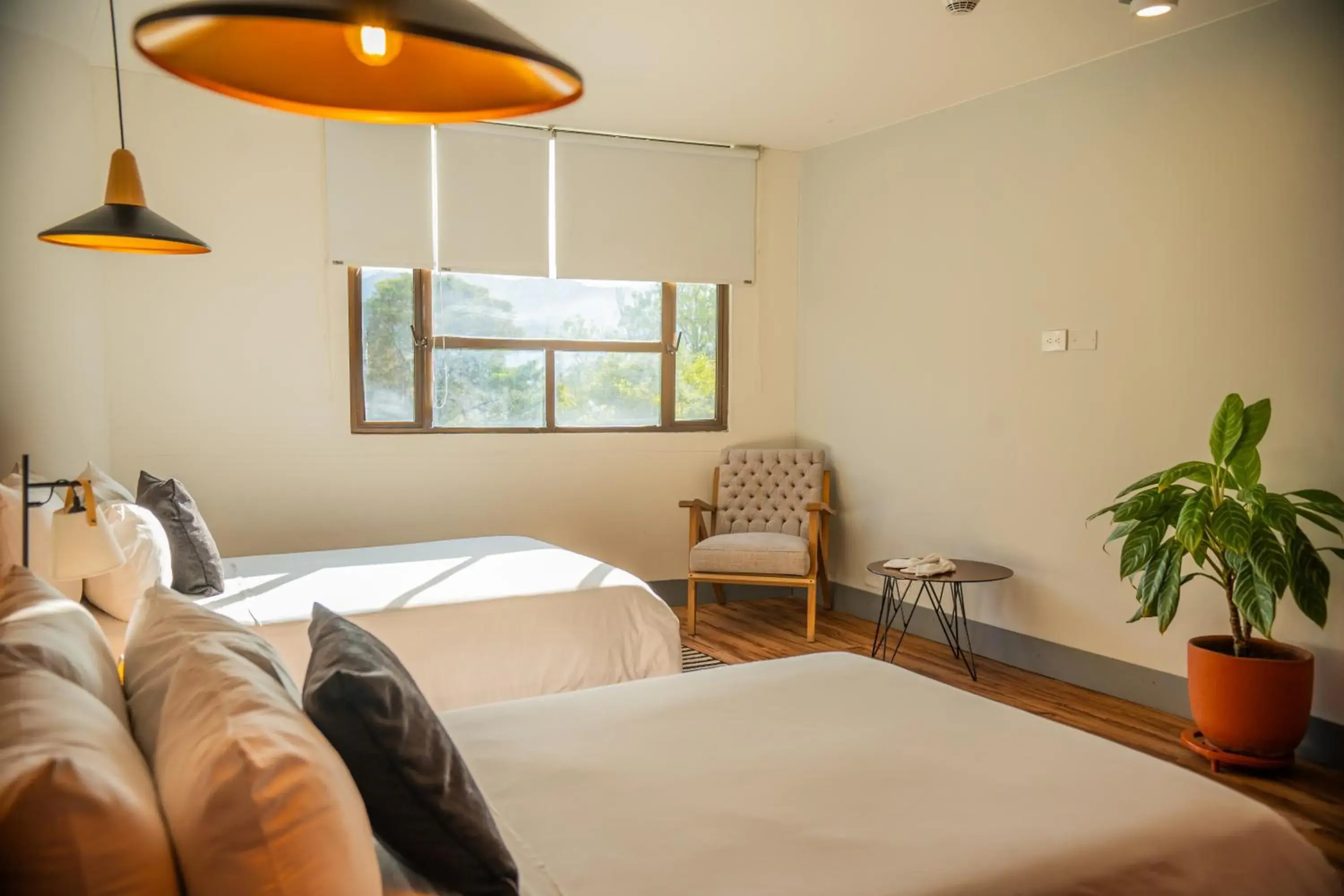 Standard Twin Room in Socialtel Medellin Standard Twin Room in Socialtel Medellin