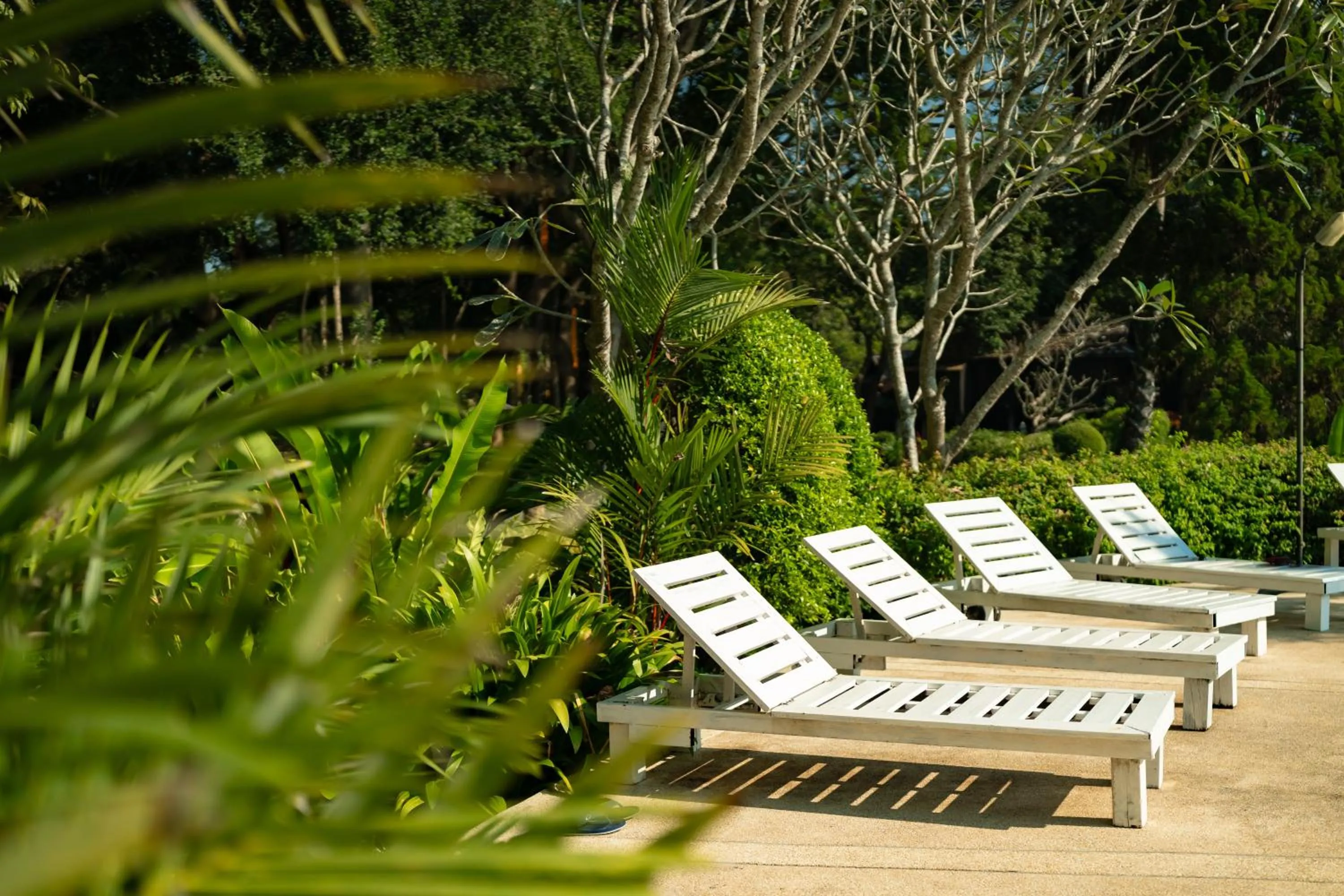 Swimming pool in Lampang River Lodge
