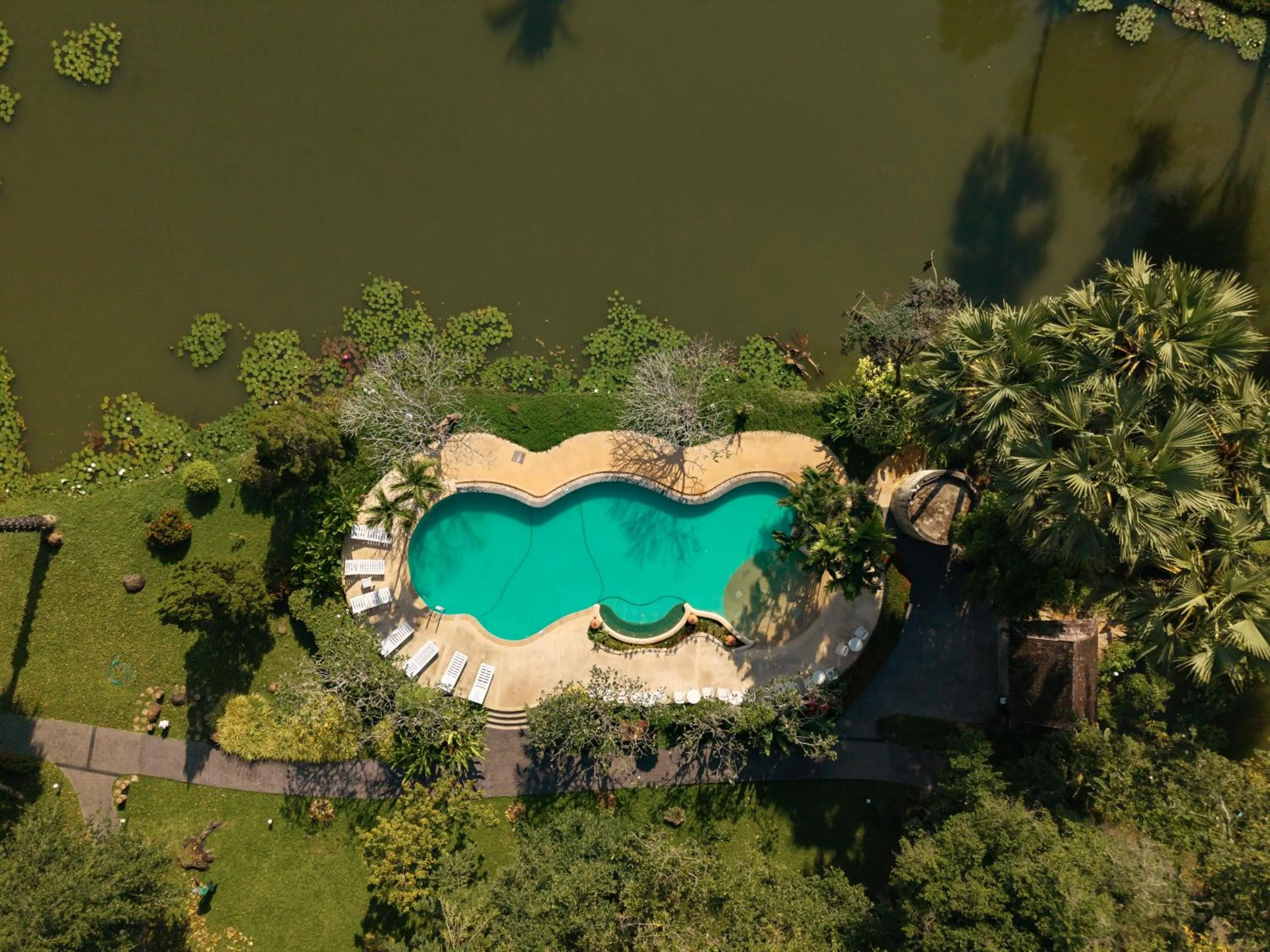 Swimming pool in Lampang River Lodge