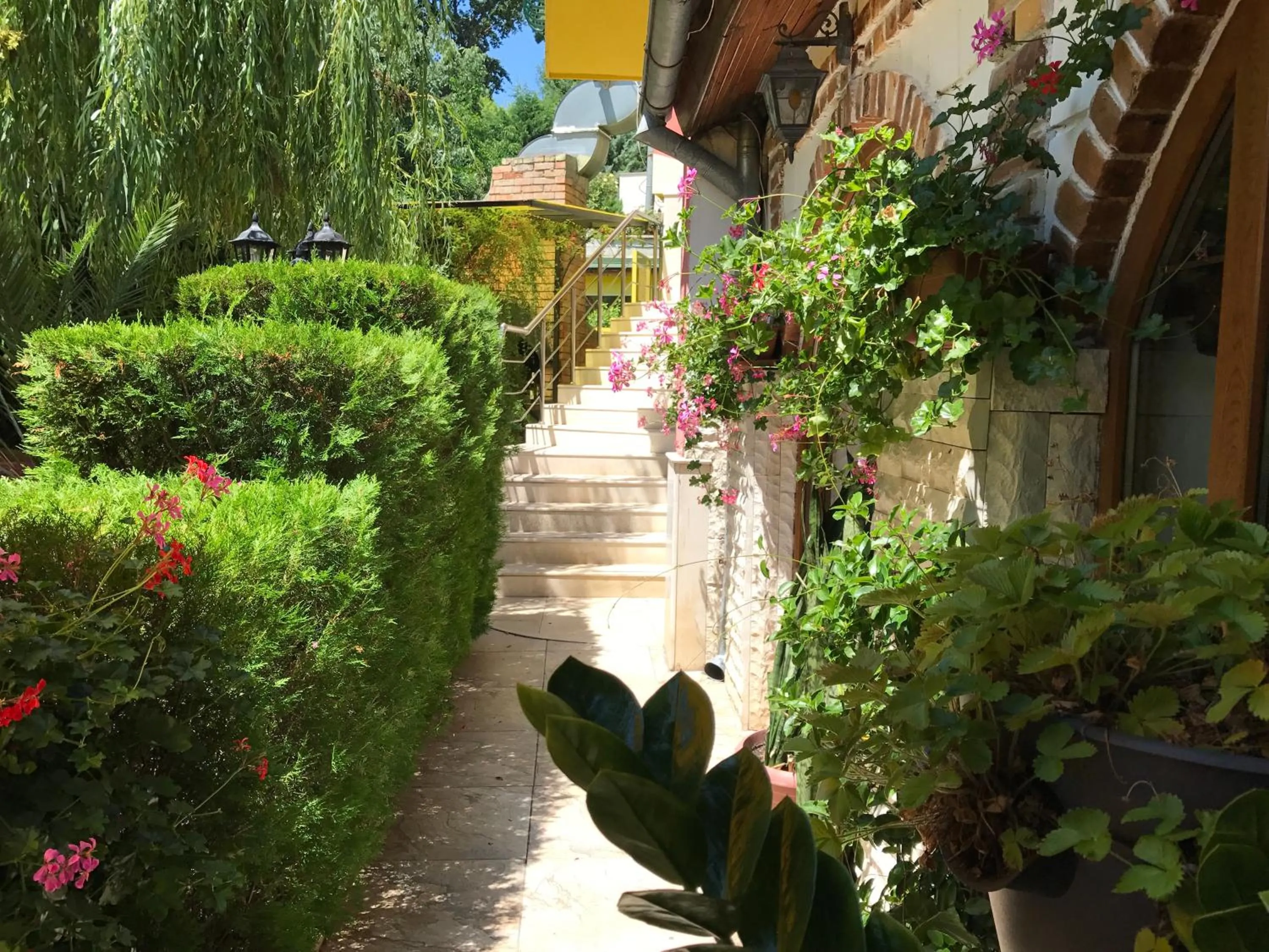 Facade/entrance in Hotel Jambo