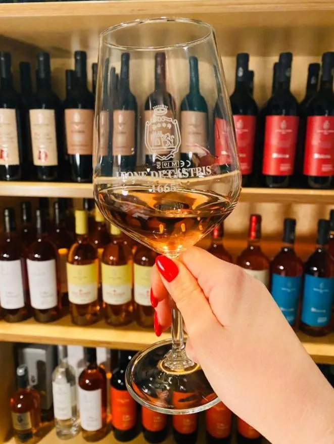 Activities in Leone de Castris Wine Hotel