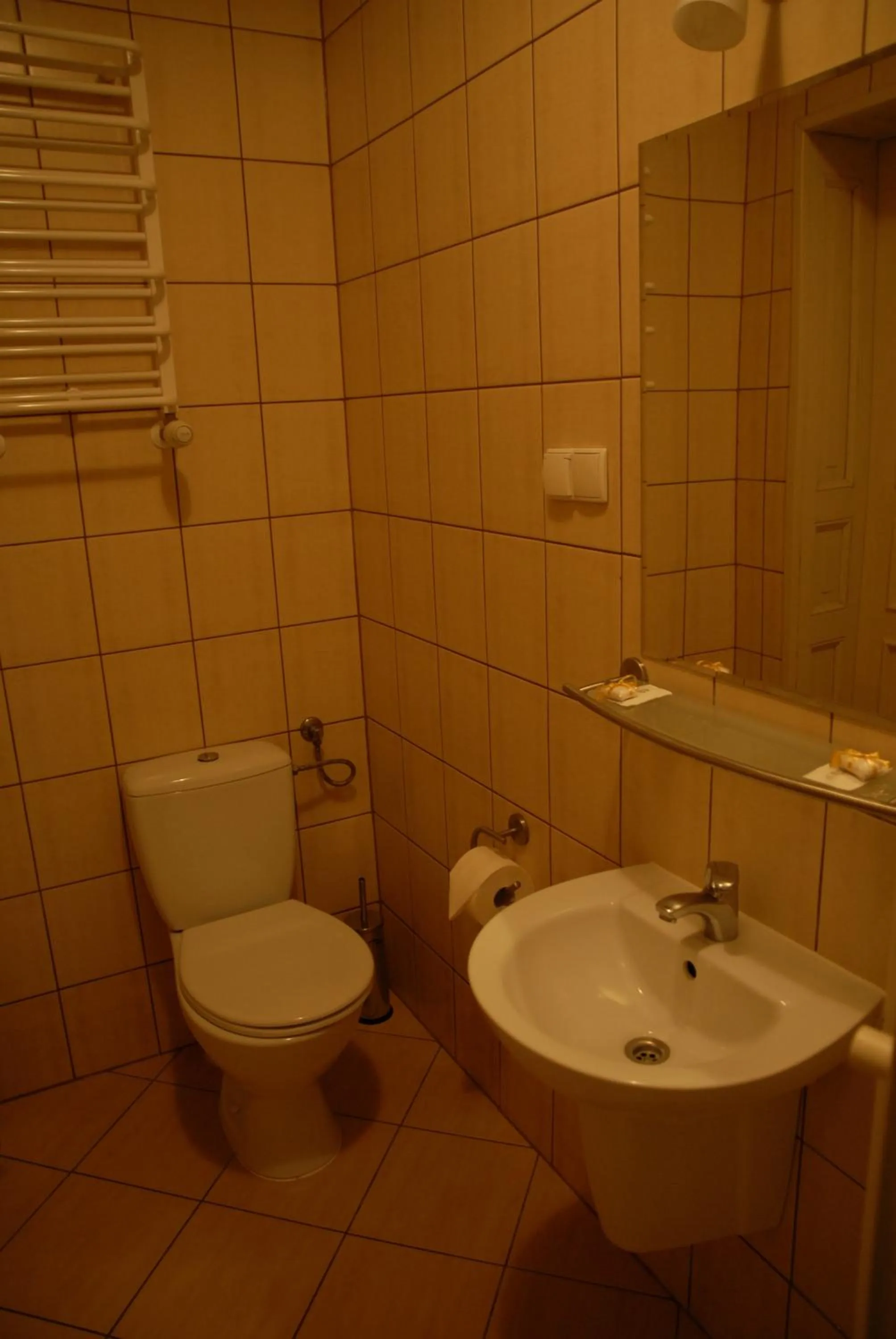 Bathroom in Hostel, Pokoje gościnne Mleczarnia - Ozonowane