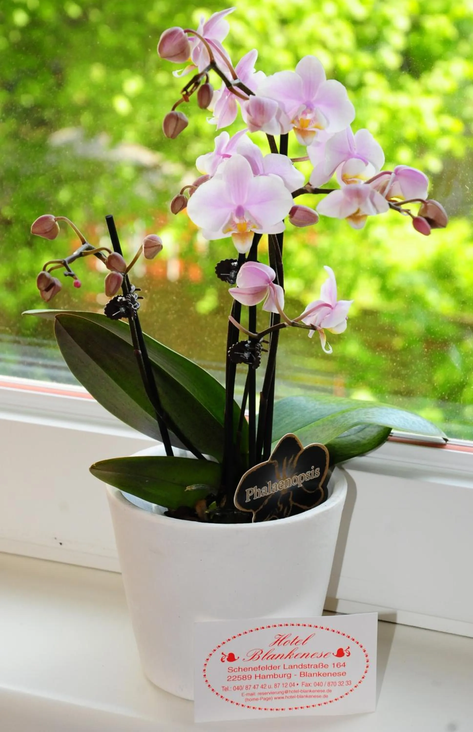 Other in Hotel Blankenese