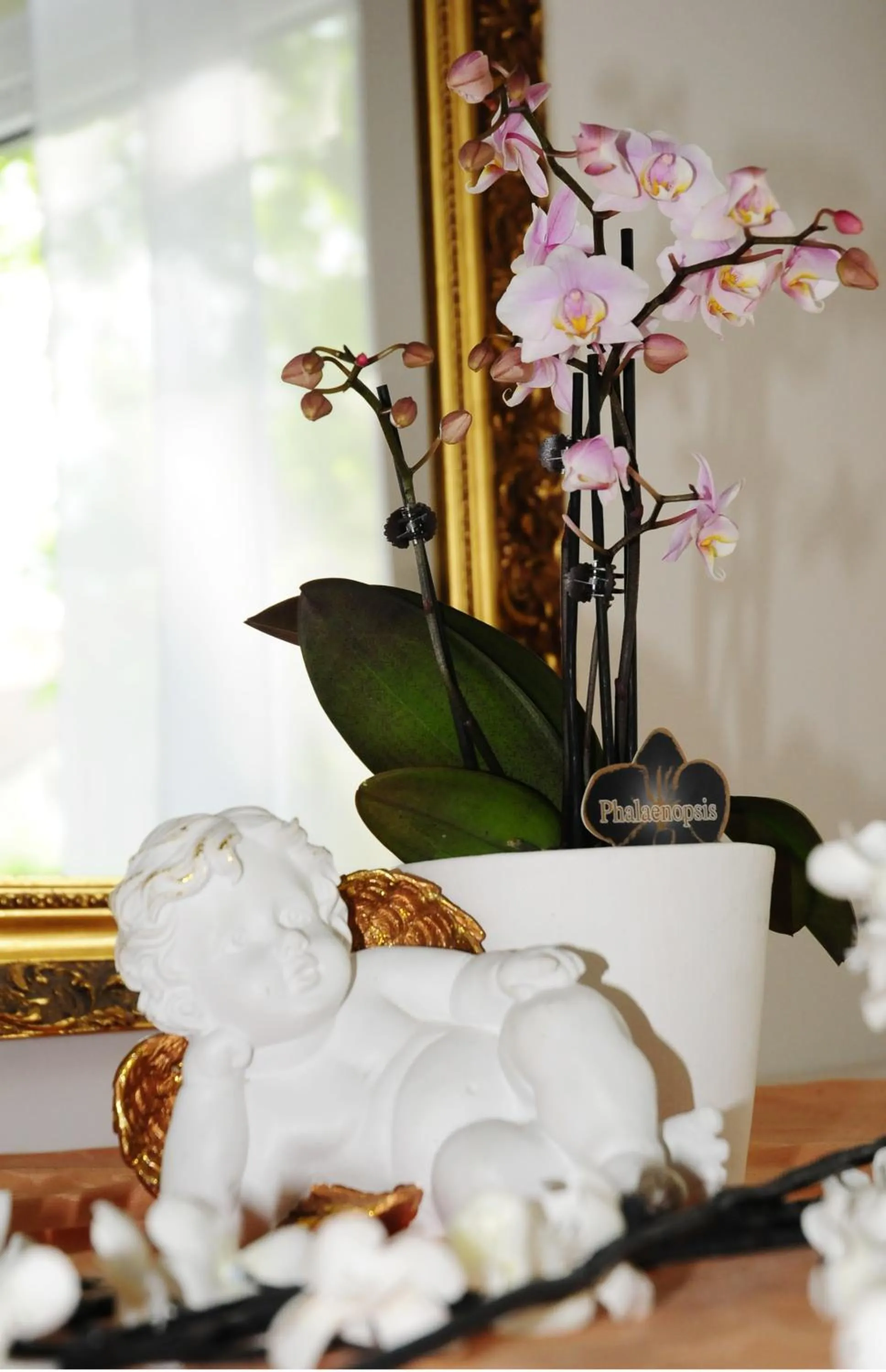 Day in Hotel Blankenese