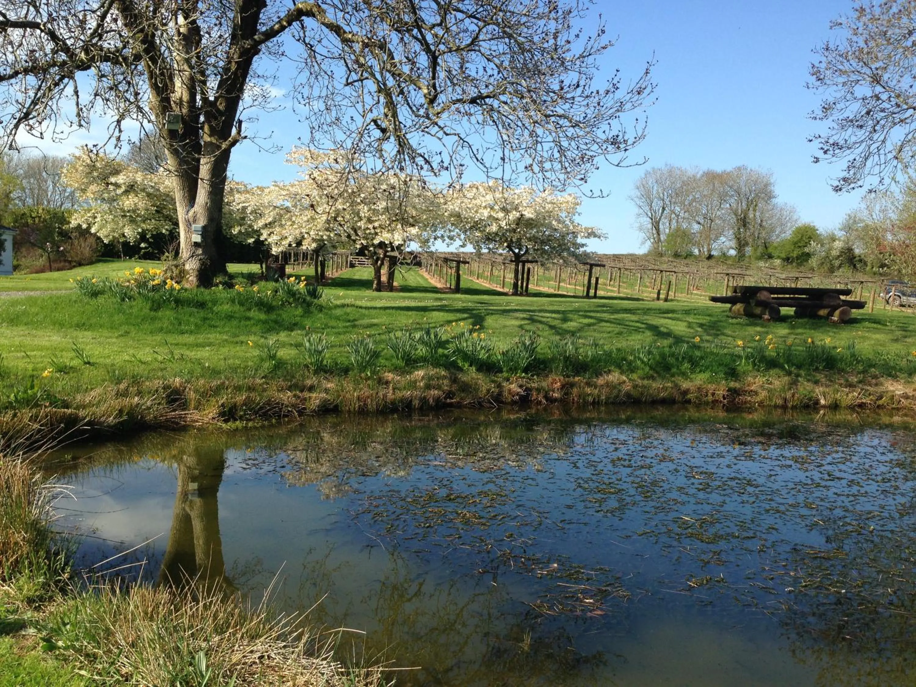 Jabajak Vineyard Restaurant & Rooms