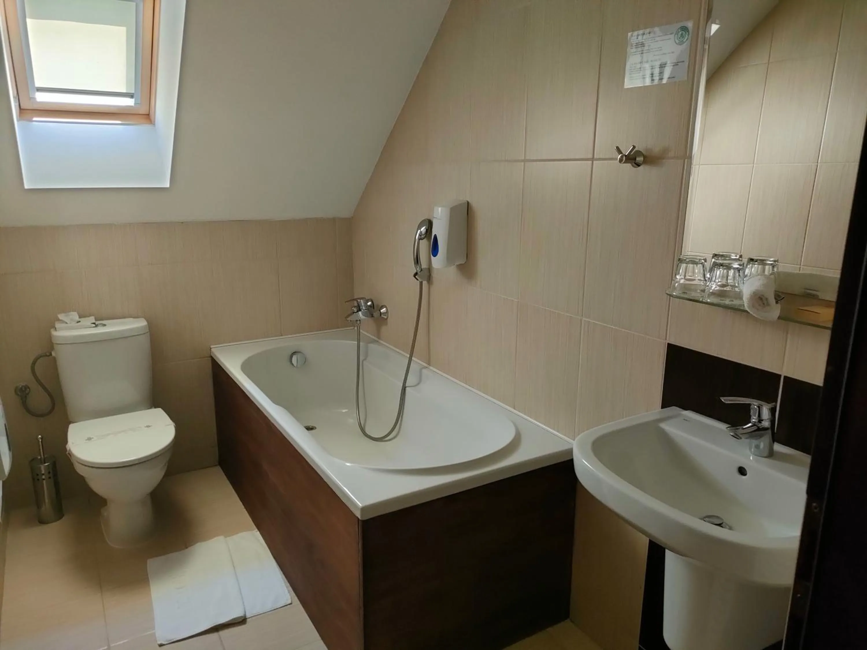 Toilet in Hotel Peklo