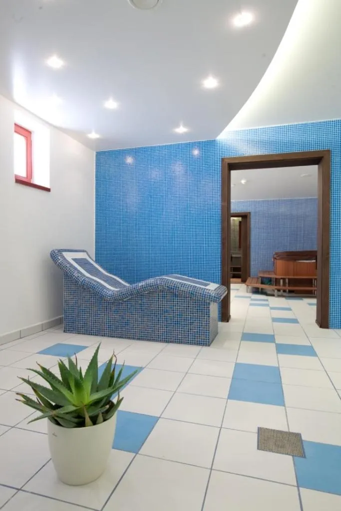 Spa and wellness centre/facilities in Hotel Peklo