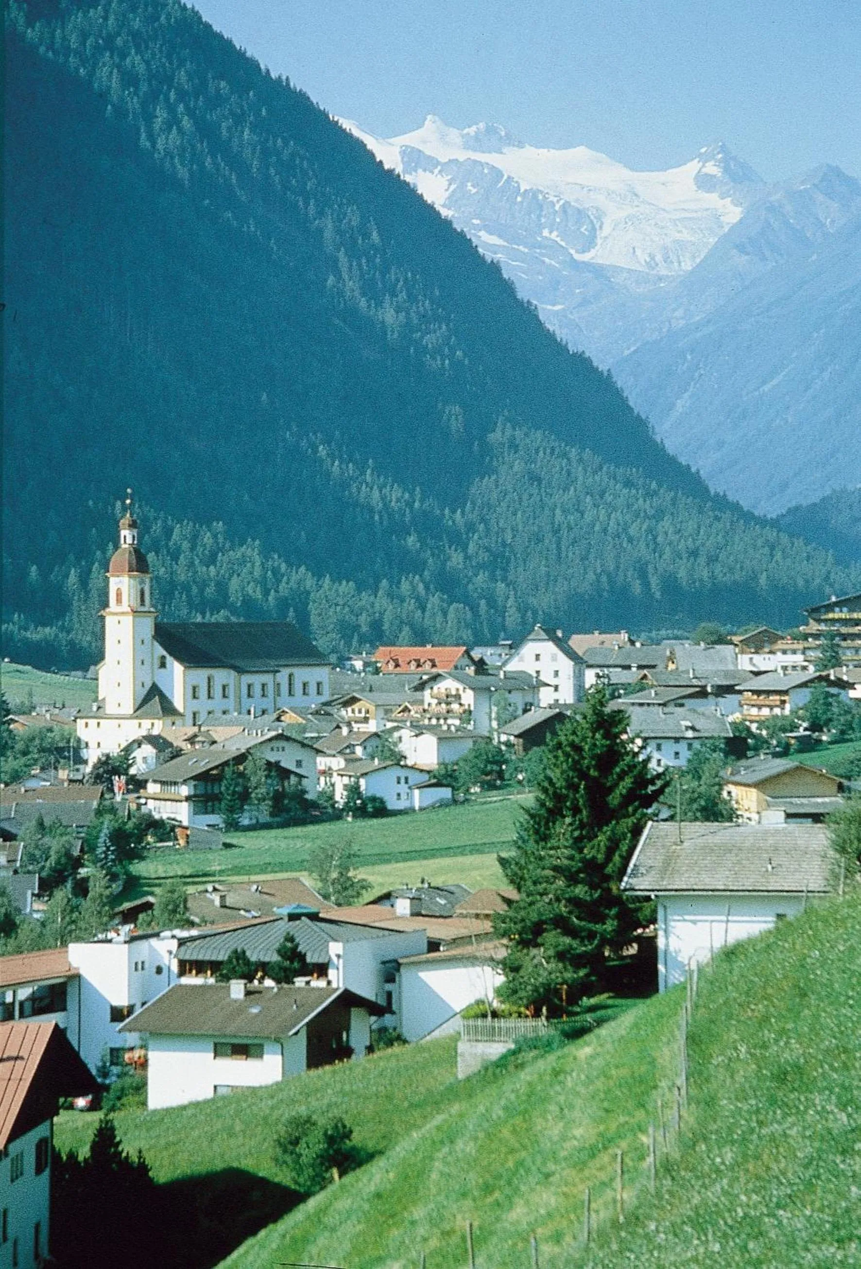 Area and facilities in Hotel Augarten