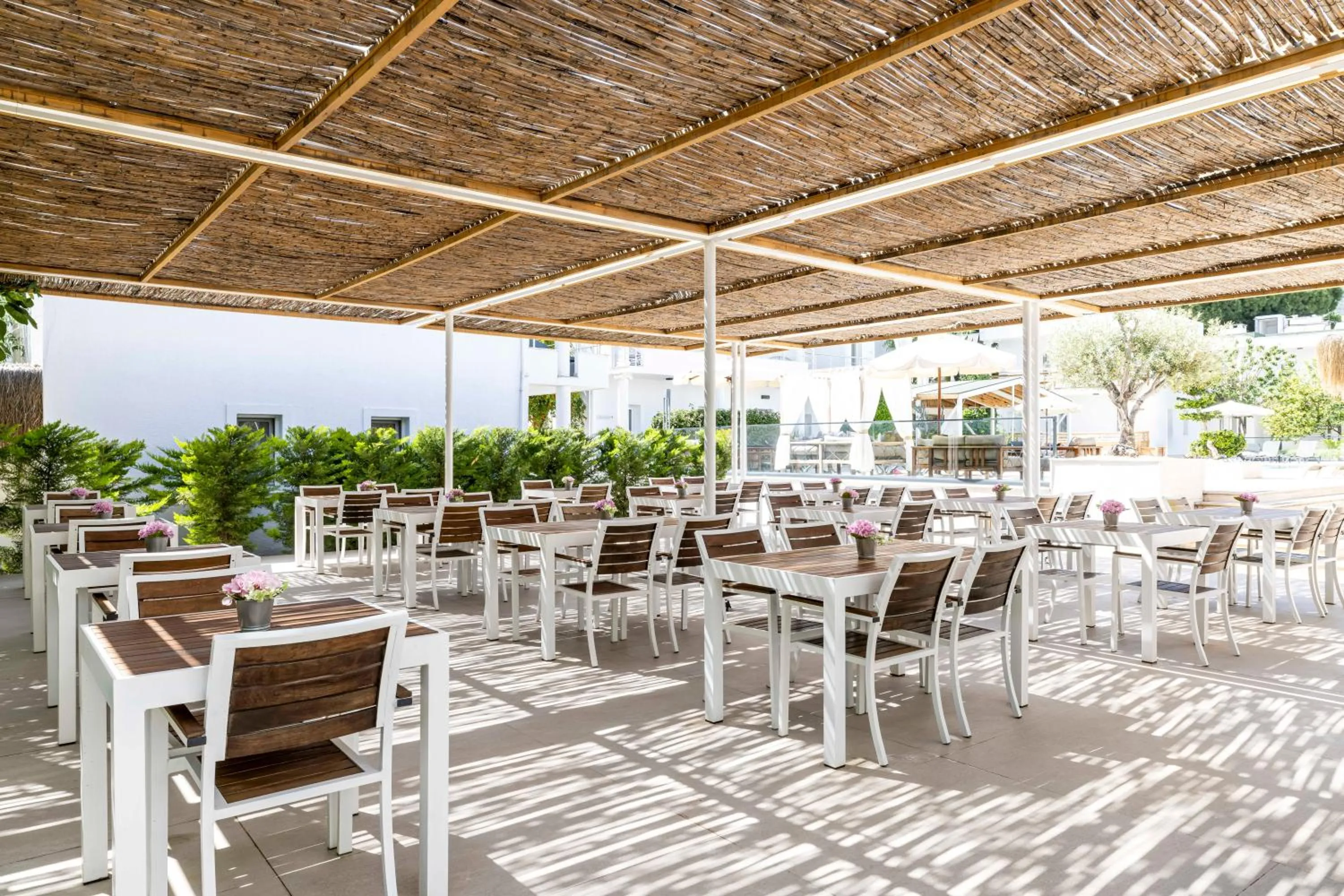 Restaurant/places to eat in Costa Maya Bodrum