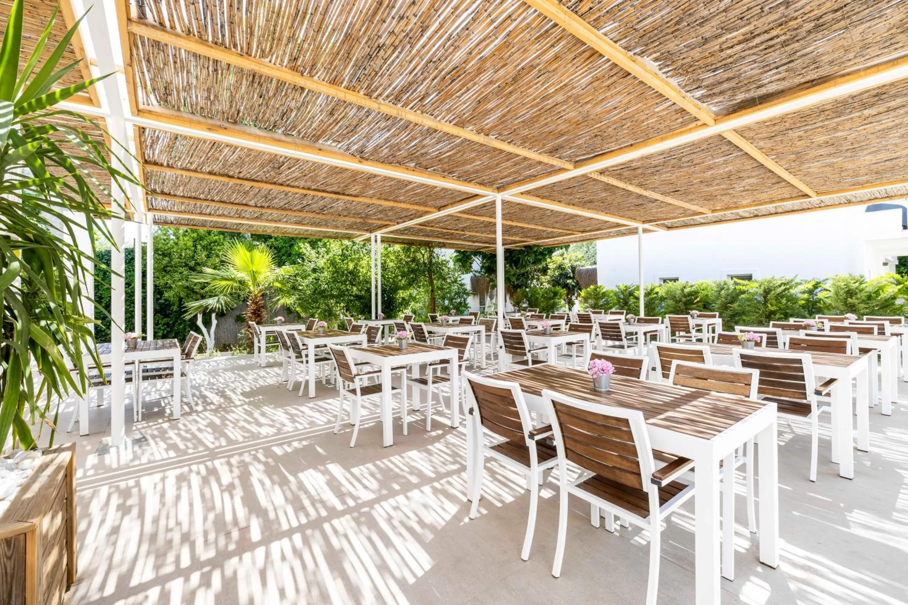 Restaurant/places to eat in Costa Maya Bodrum