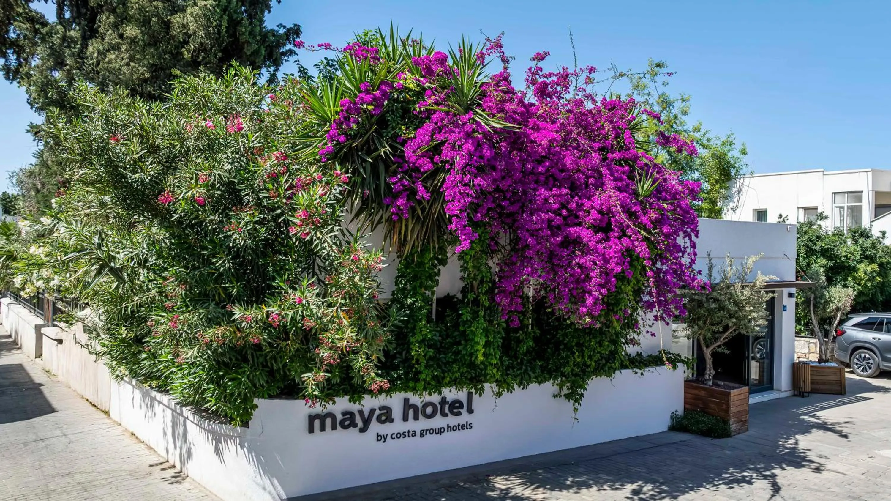 Property building in Costa Maya Bodrum