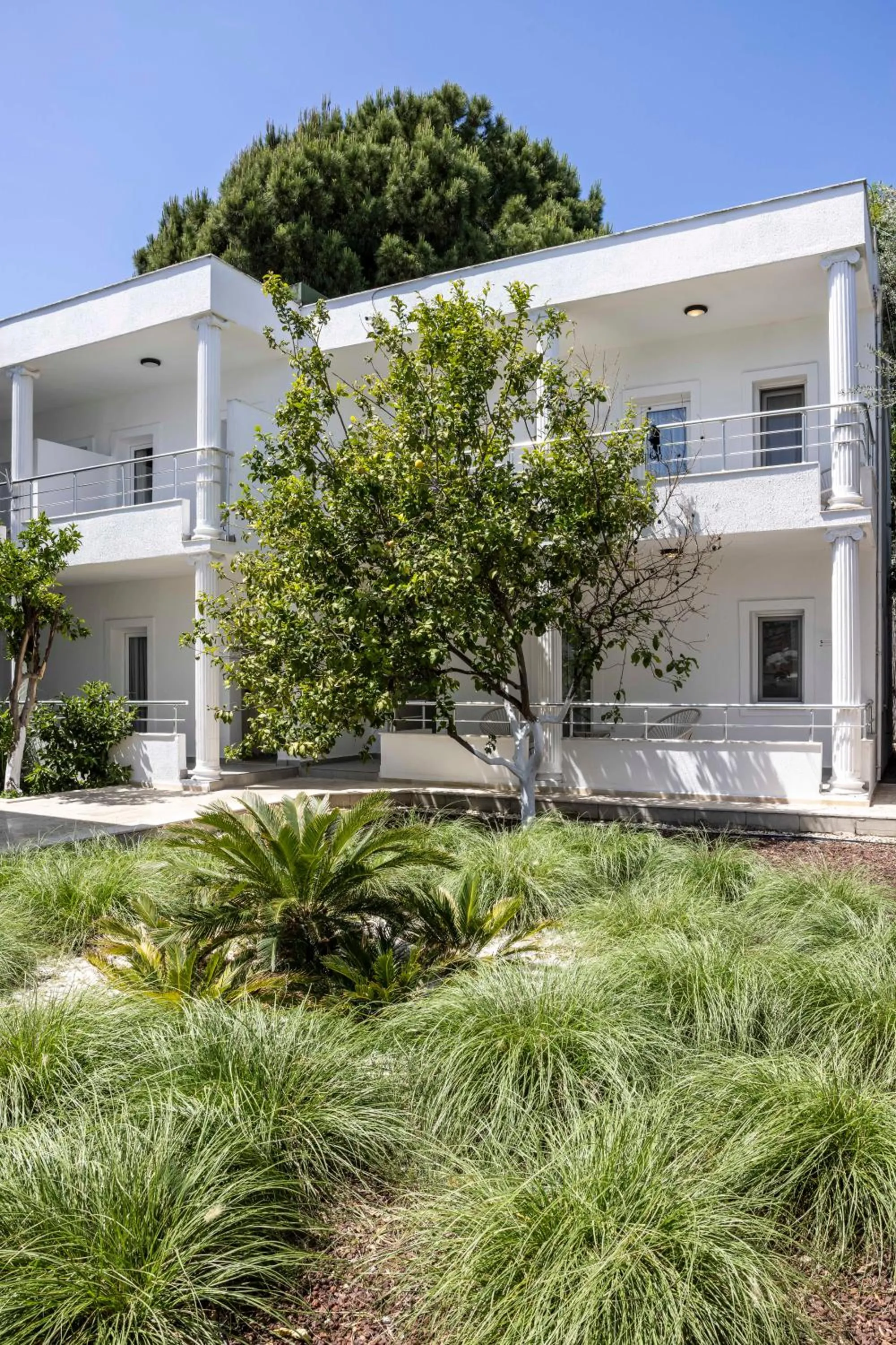 Day in Costa Maya Bodrum