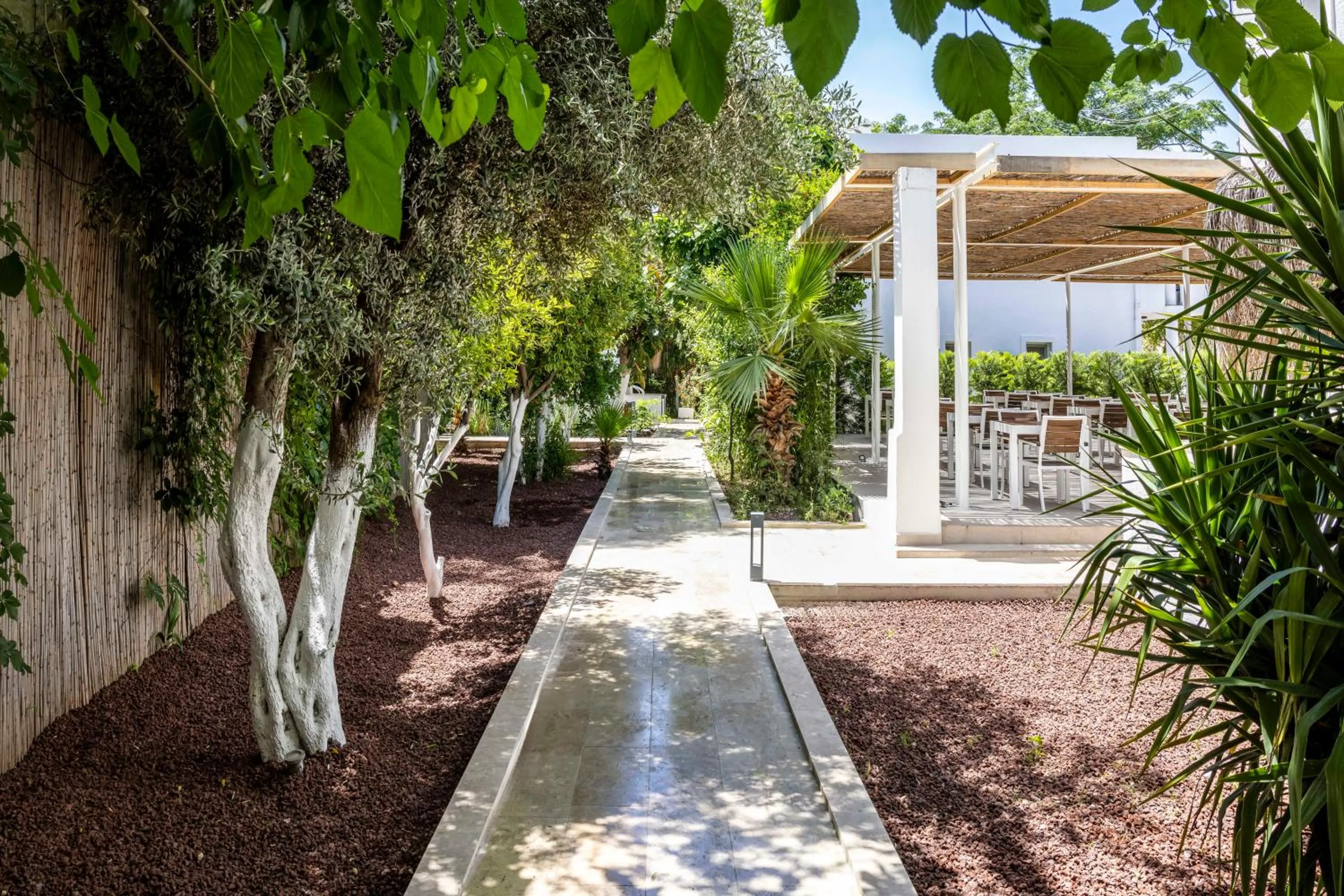 Garden in Costa Maya Bodrum