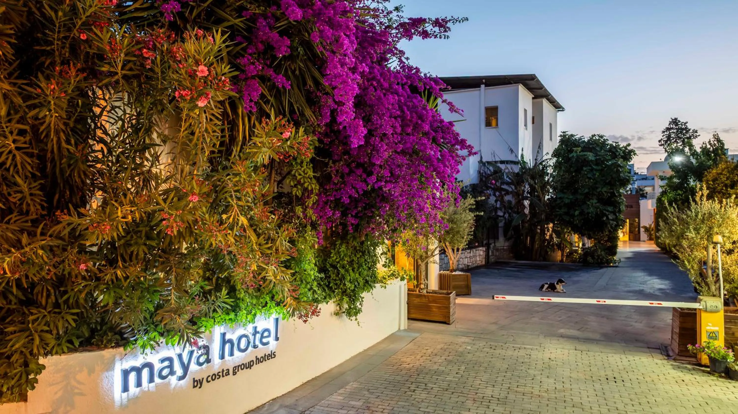 Property building in Costa Maya Bodrum