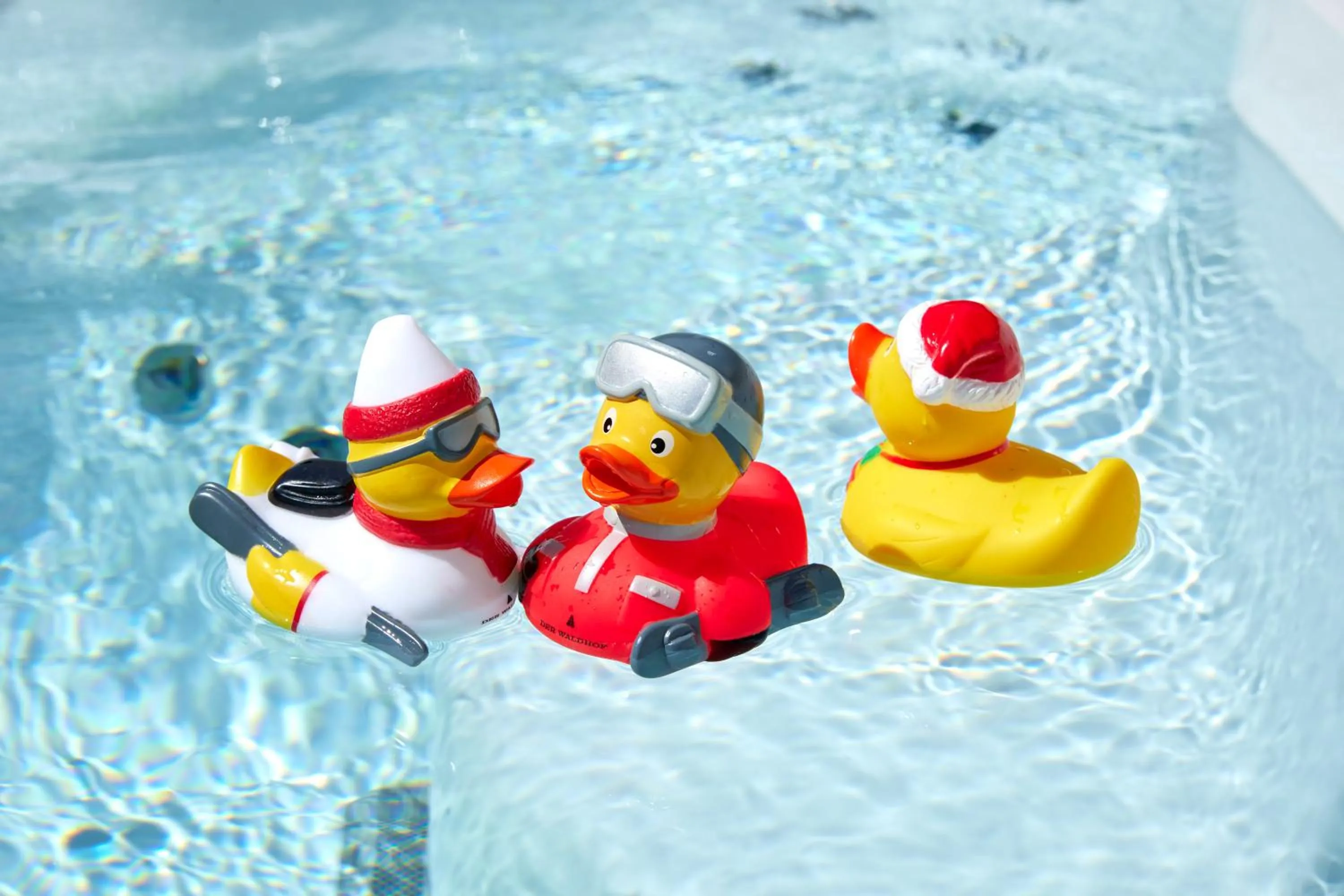 Pool view in Der Waldhof - Unique - A hidden gem