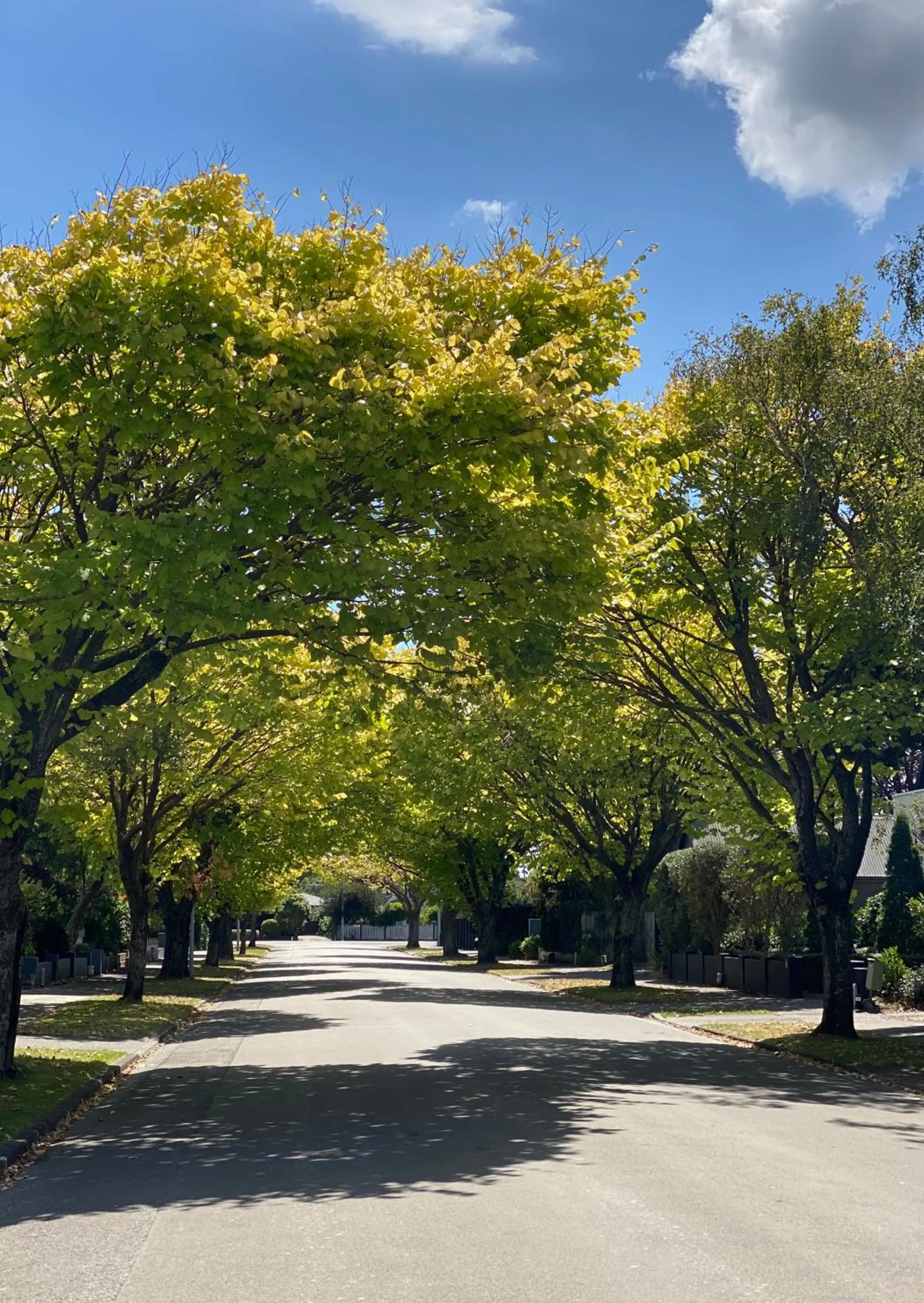 Quiet street view in Refreshstay