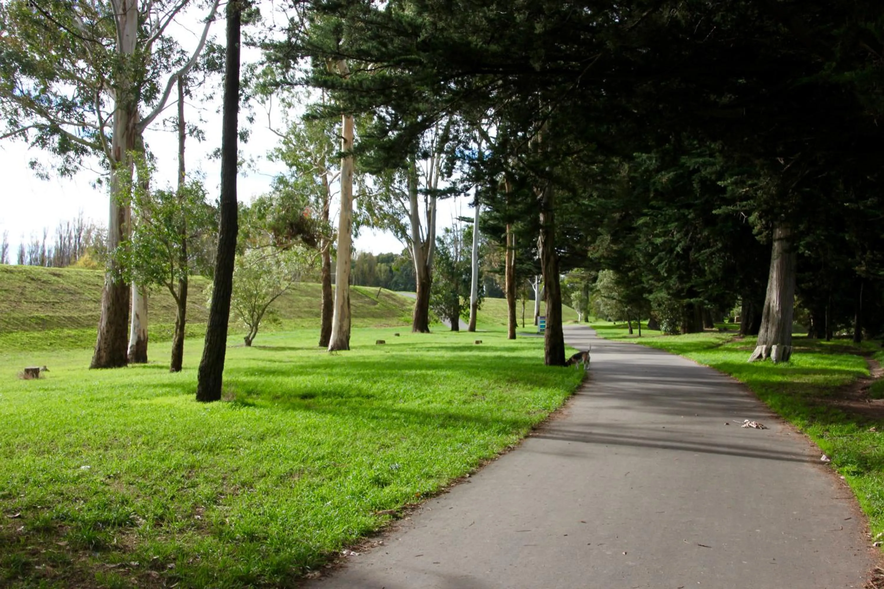 Natural landscape in Refreshstay