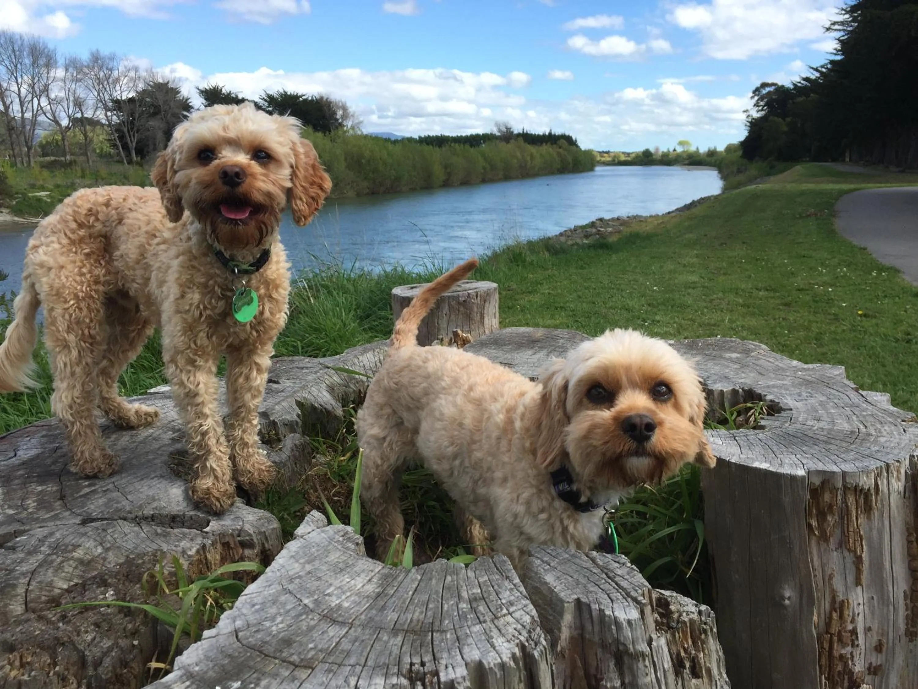 Nearby landmark in Refreshstay