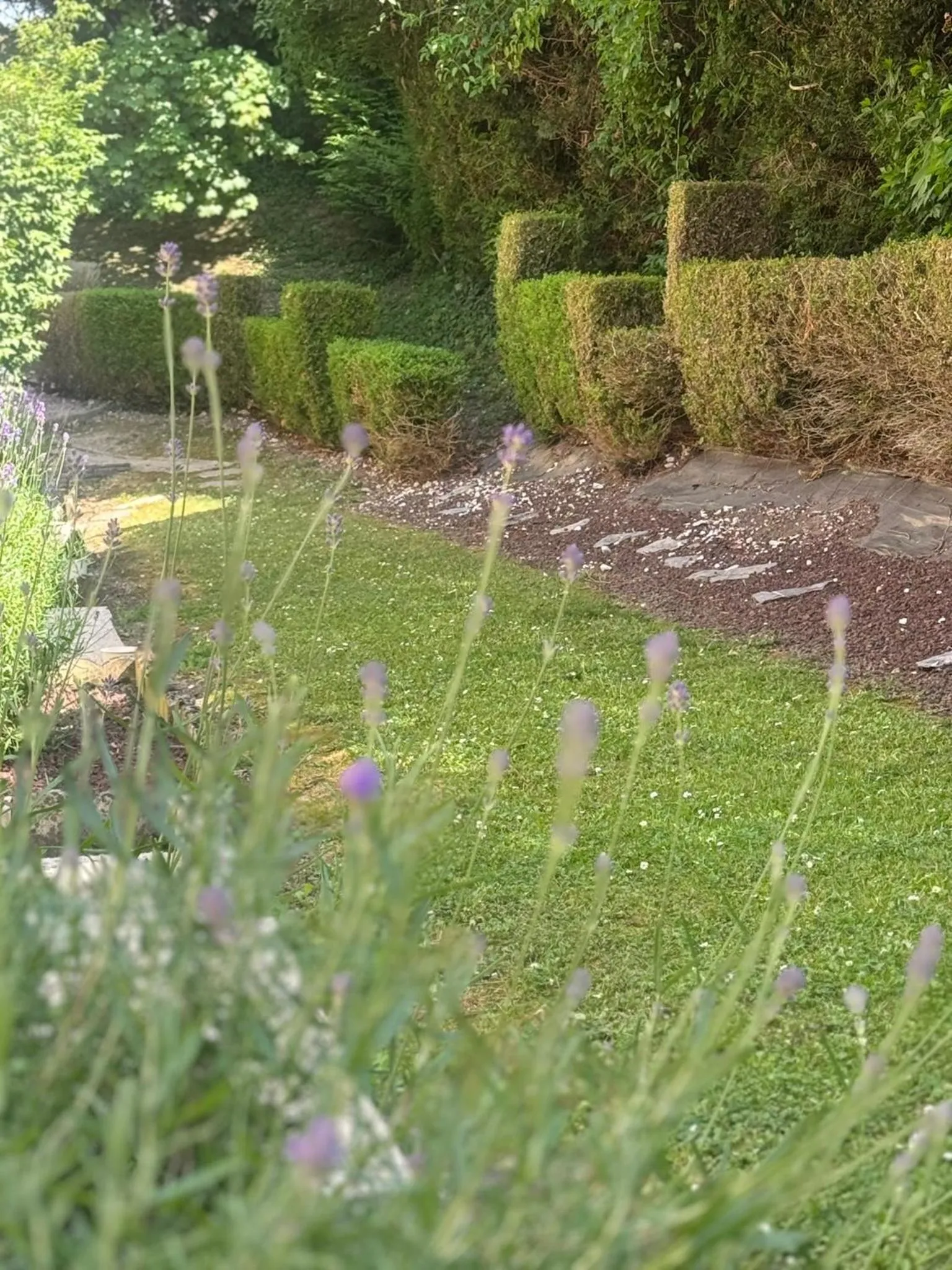 Garden view in Kyriad Epernay
