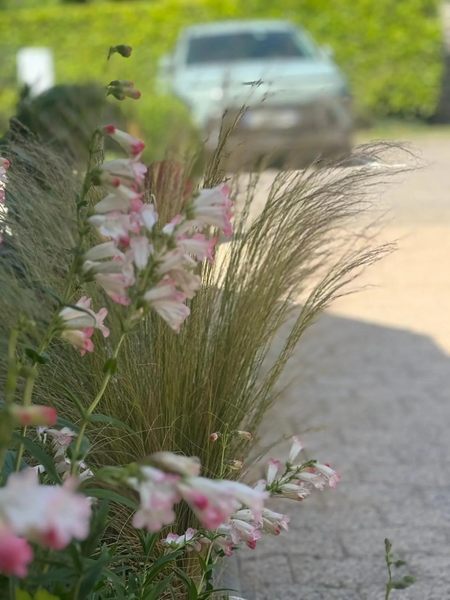 Property building in Kyriad Epernay