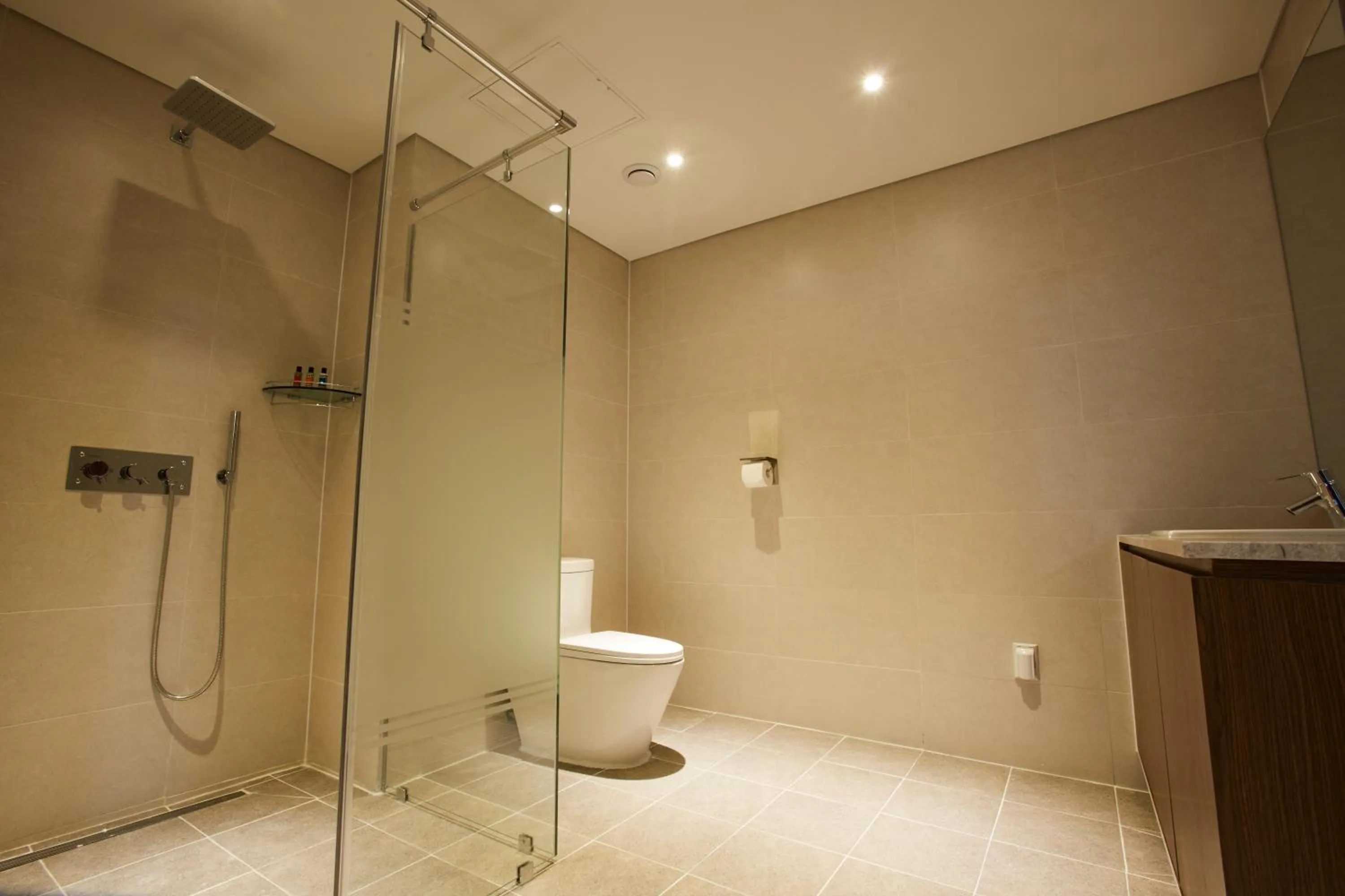 The Recenz Dongdaemun Hotel