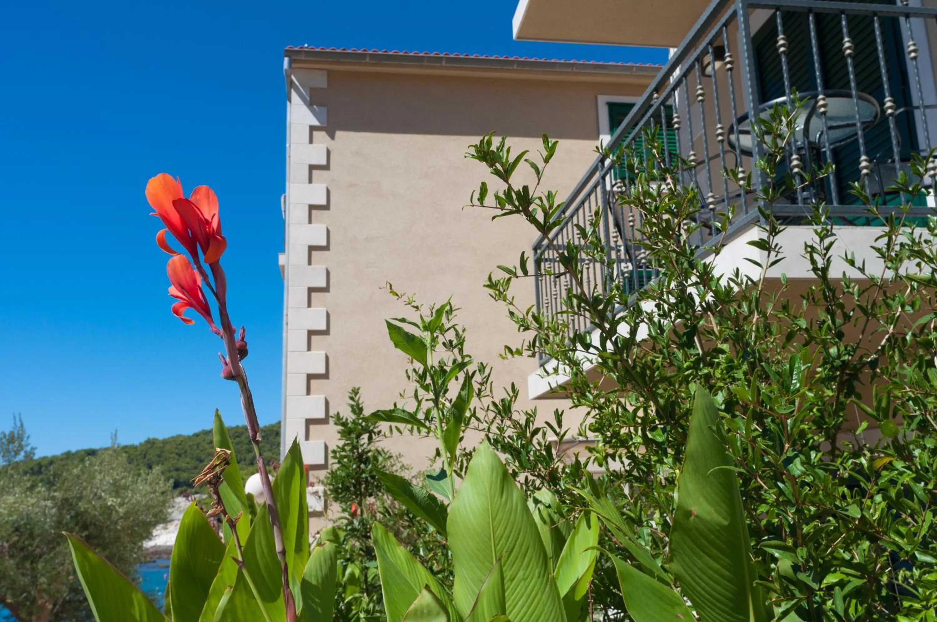 Property building in Hotel Fortuna