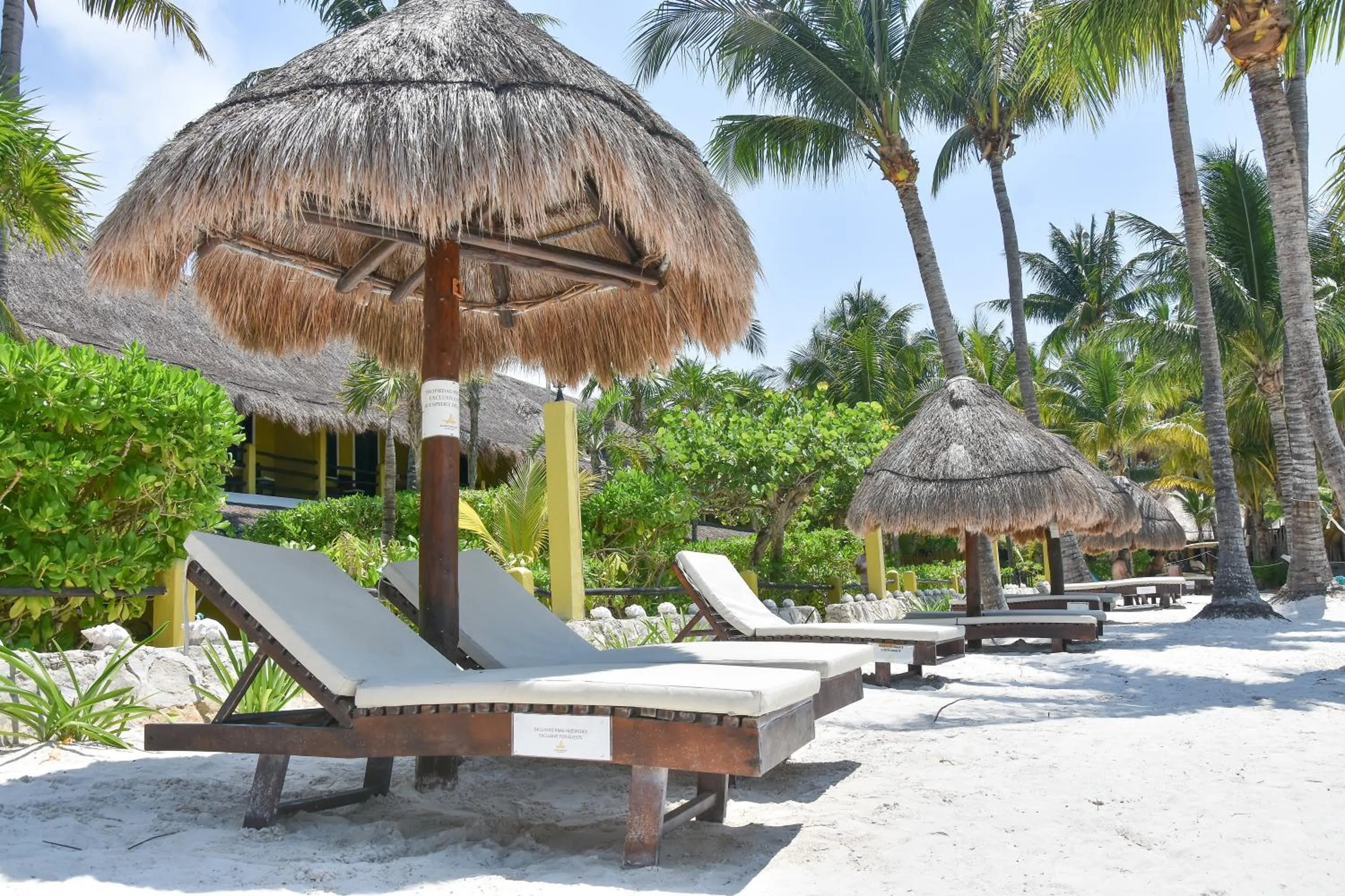 Beach in Amaite Holbox - Oceanfront Hotel