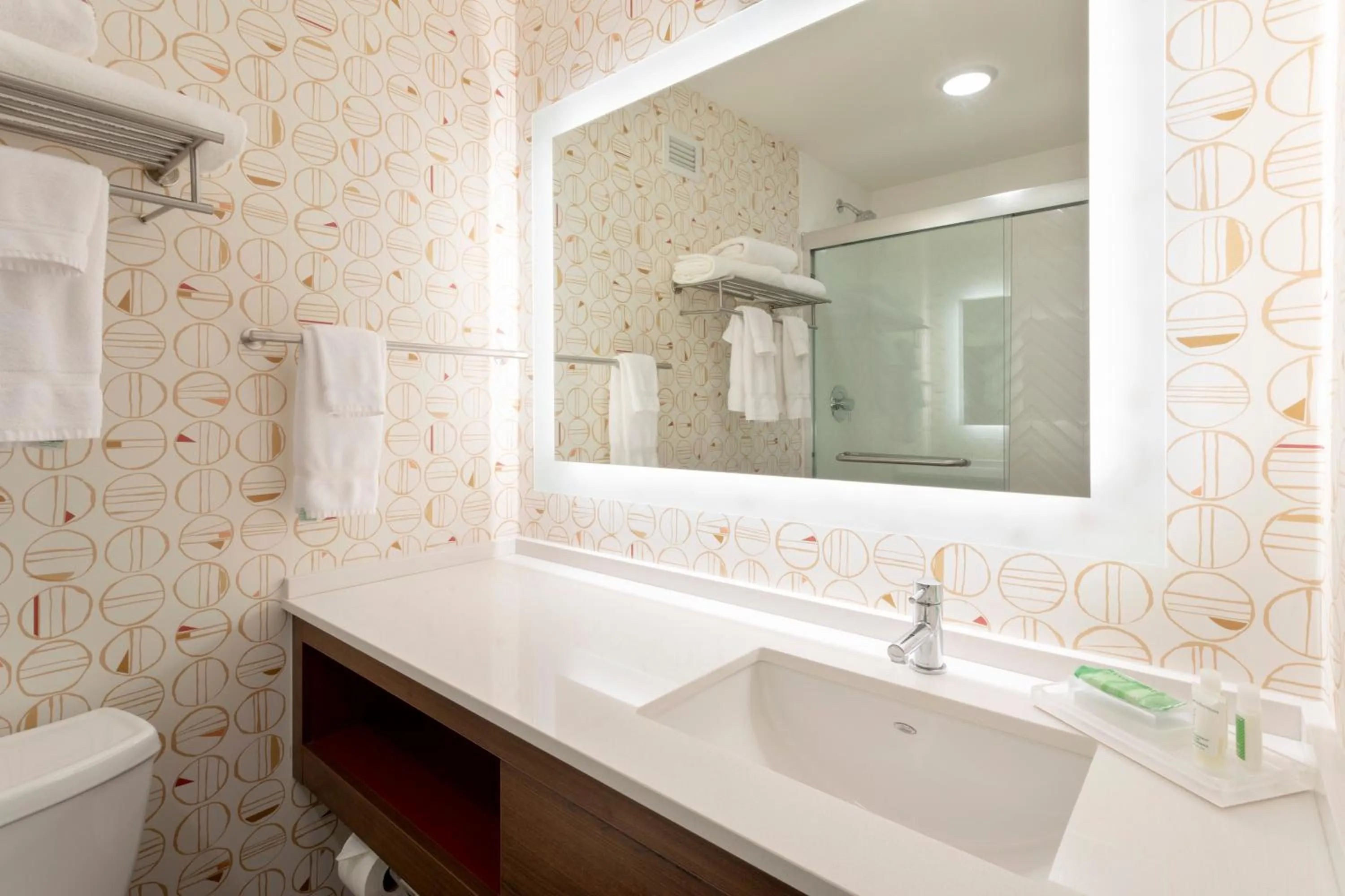 Bathroom in Holiday Inn Marquette by IHG