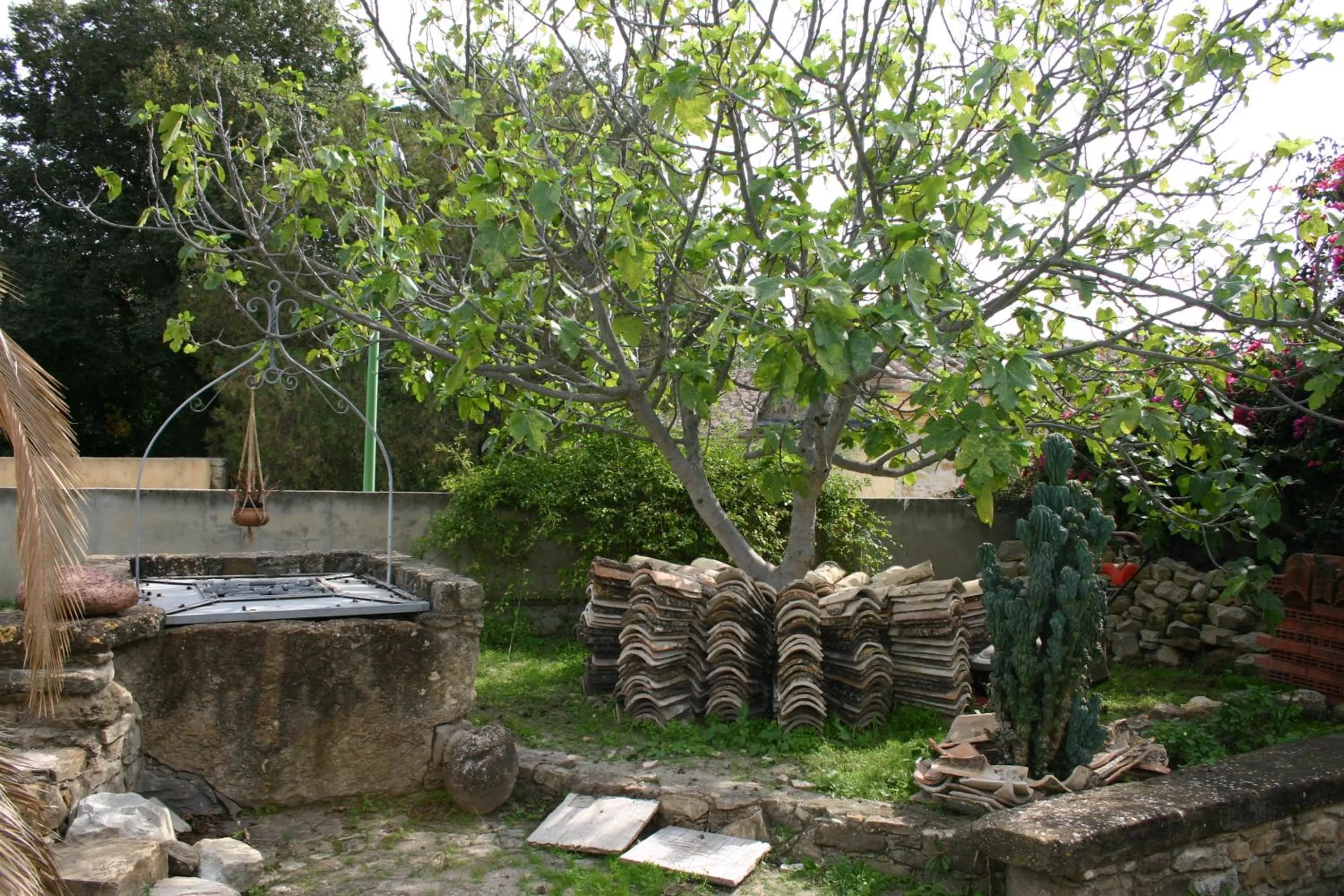 Garden in Sa Domu de sa Contissa