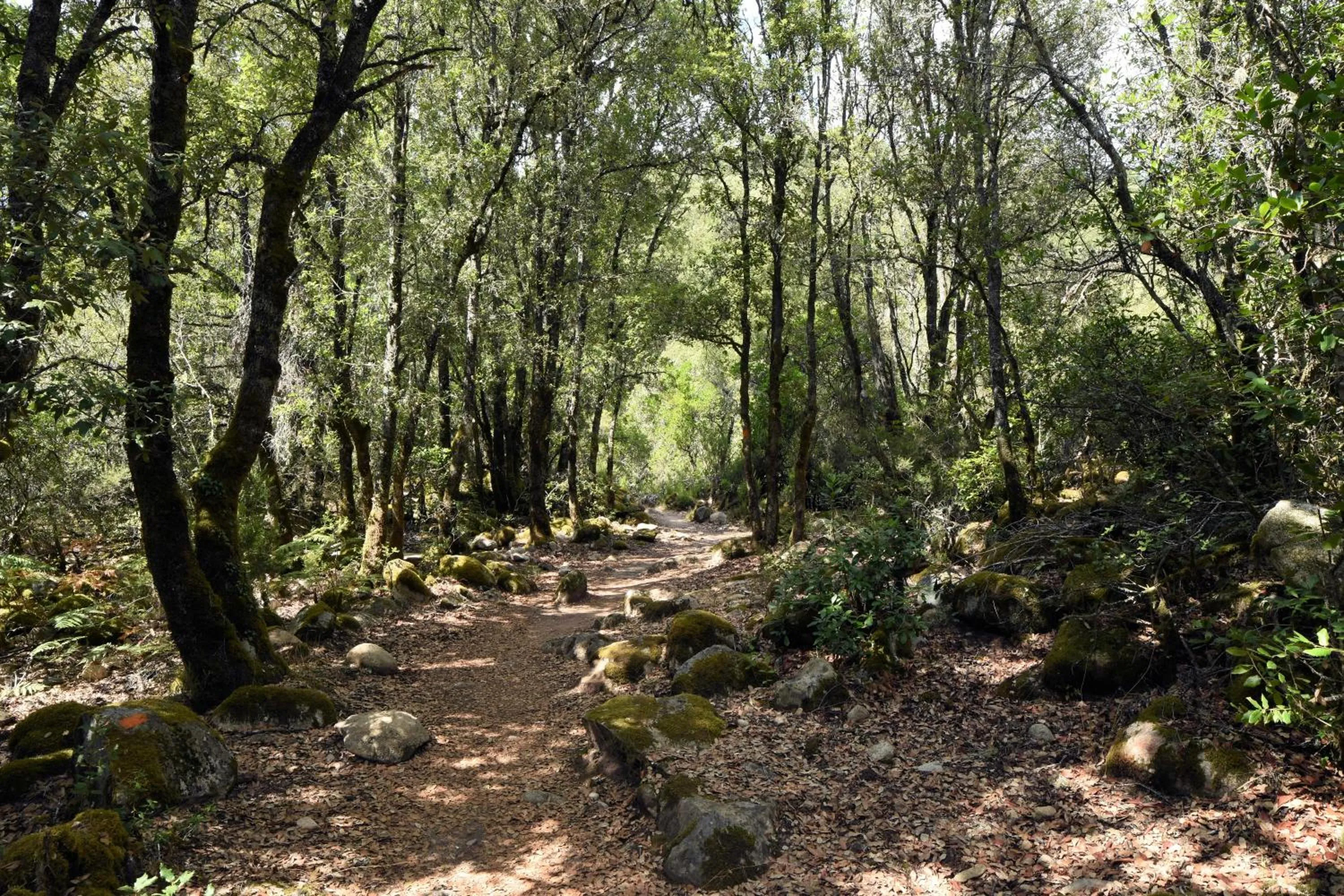 Activities in Auberge des Deux Sorru