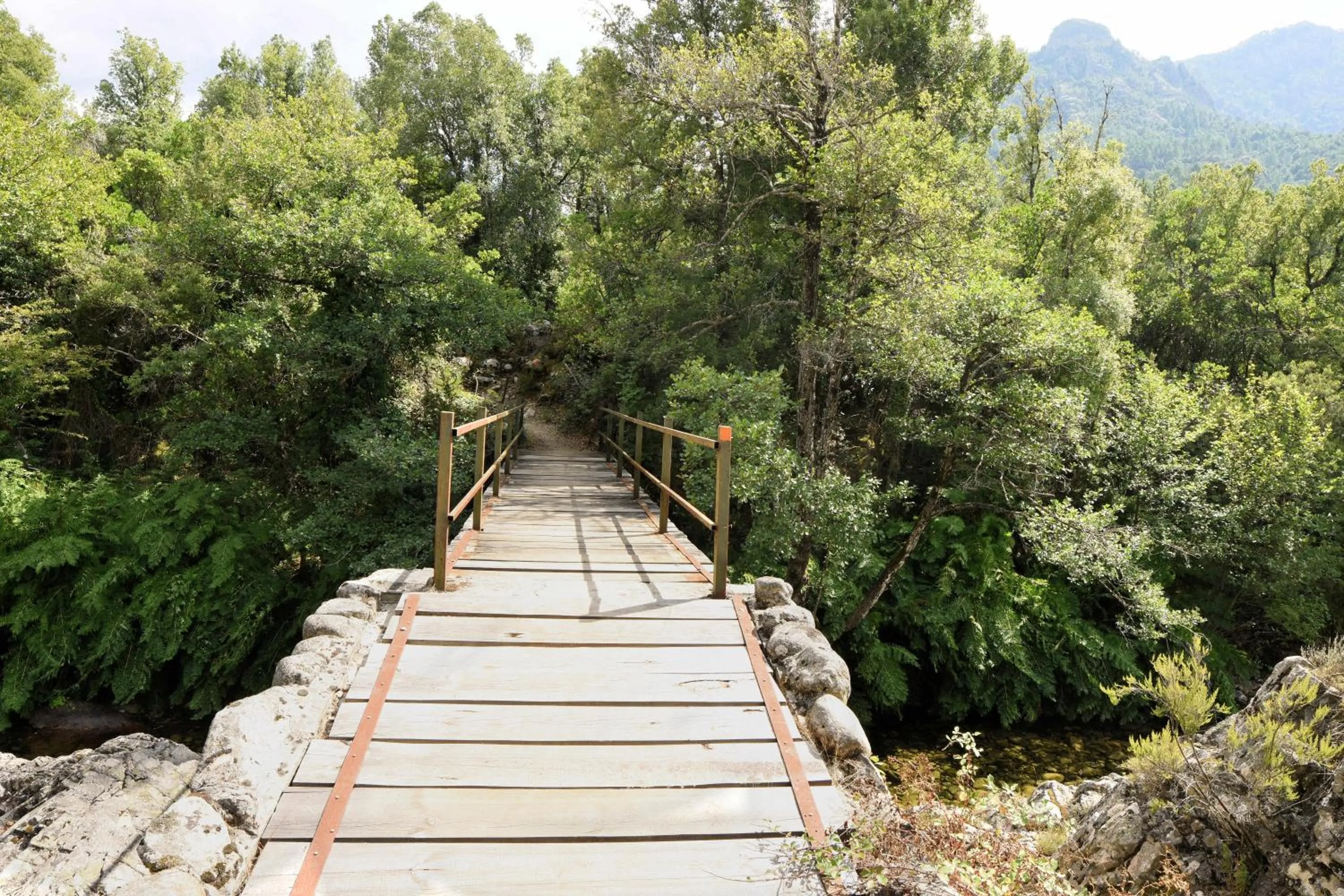 Activities in Auberge des Deux Sorru