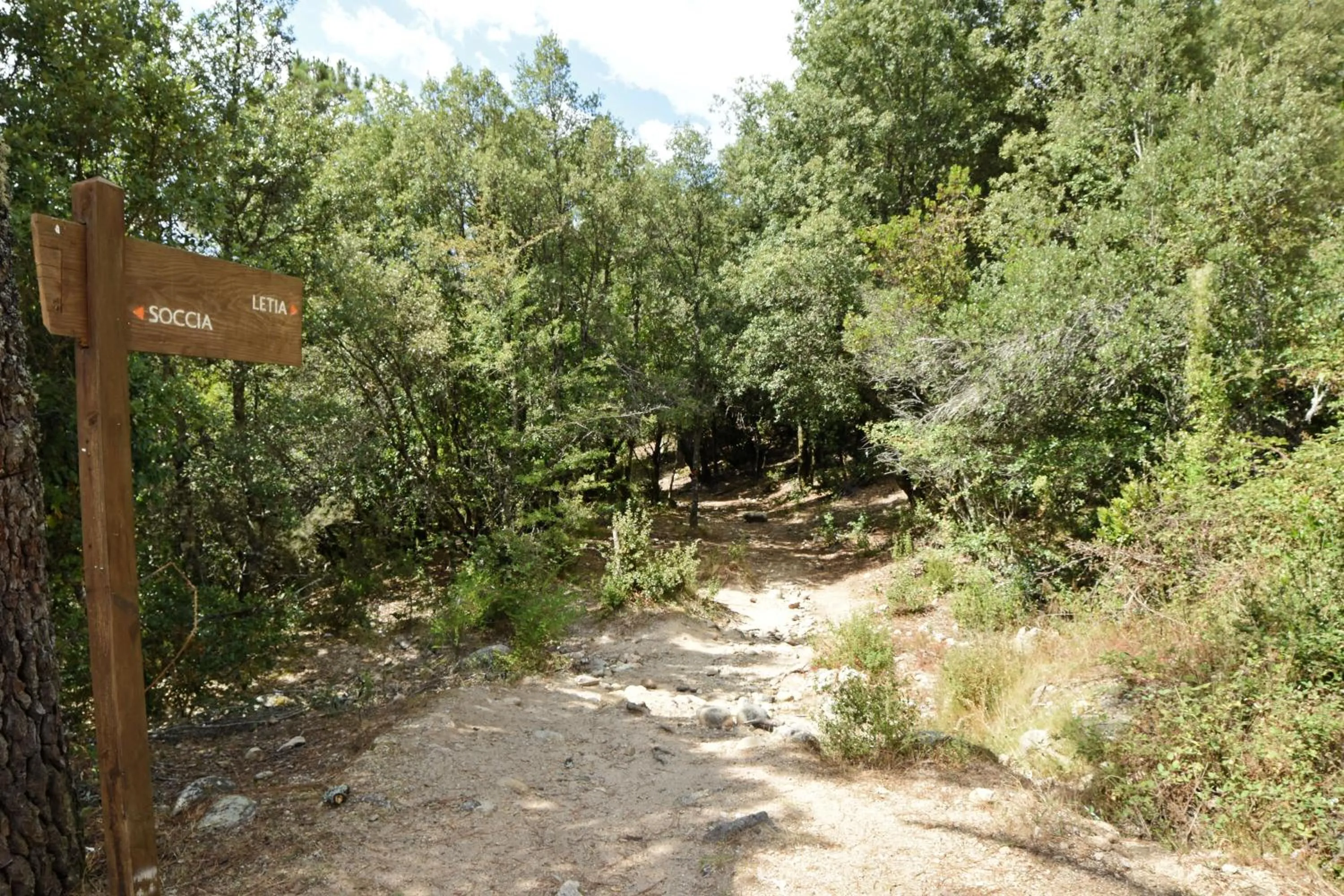 Activities in Auberge des Deux Sorru