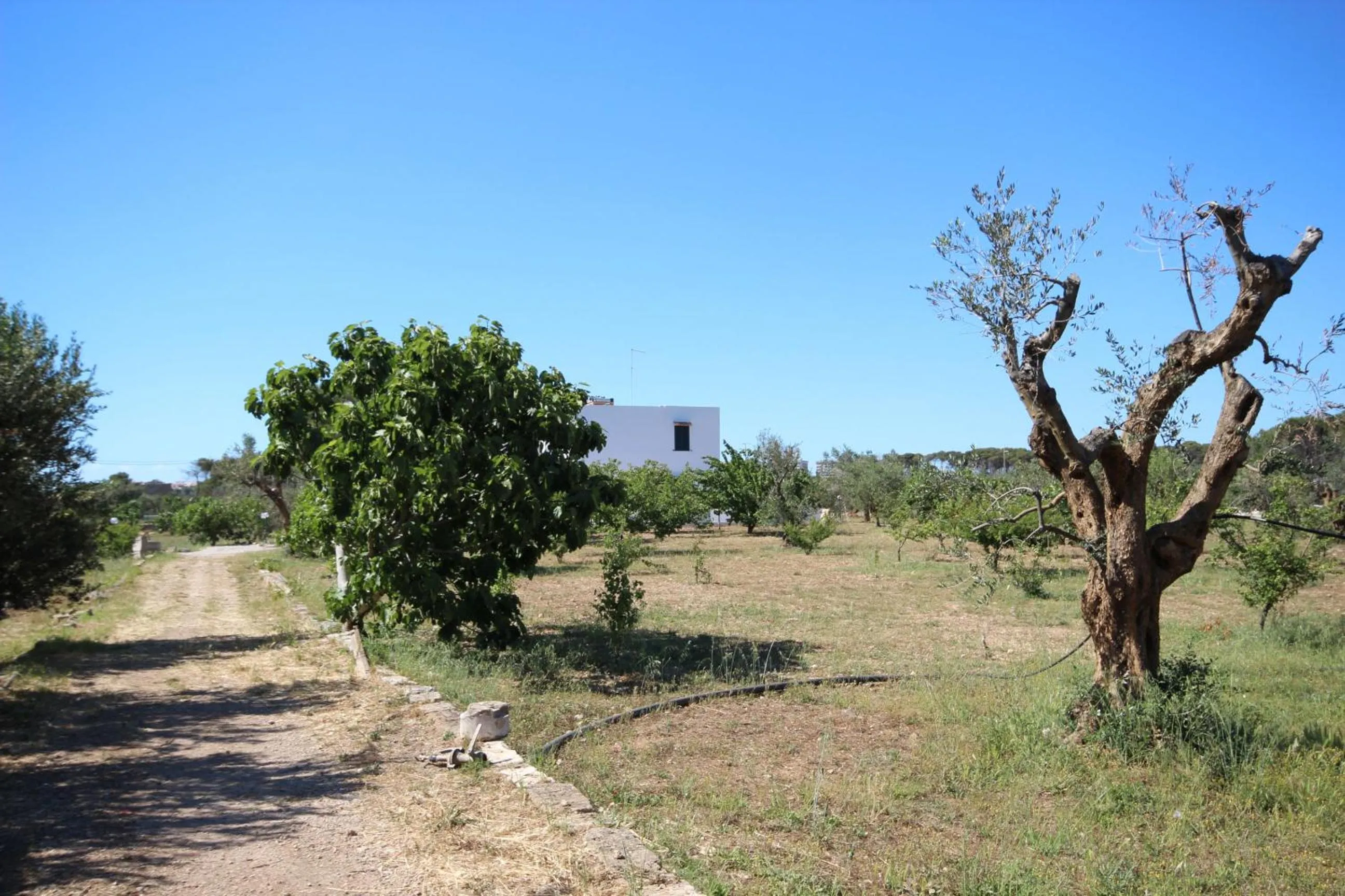 Garden in Tenuta Fontò