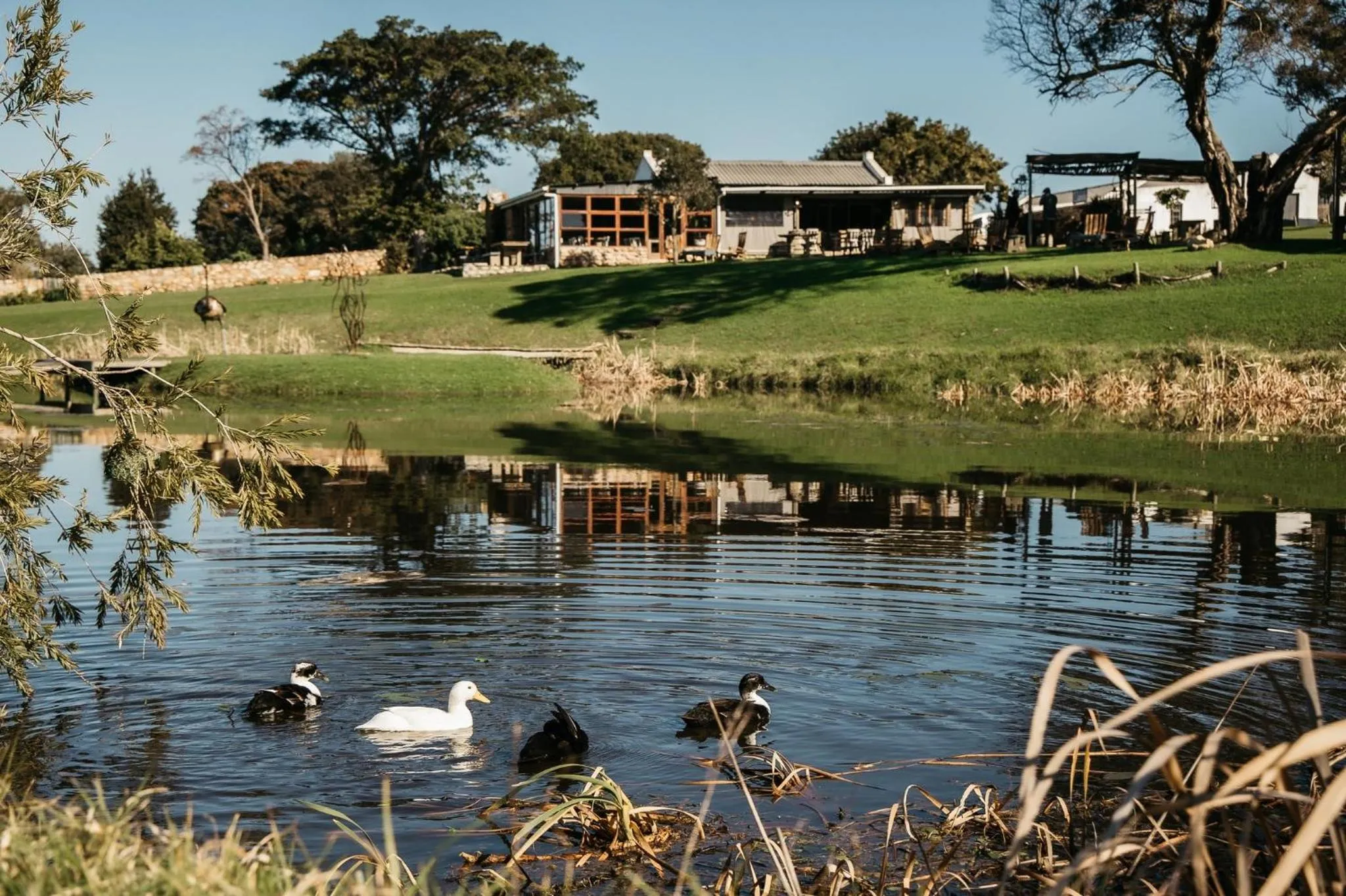 Property building in AfriCamps at Stanford Hills